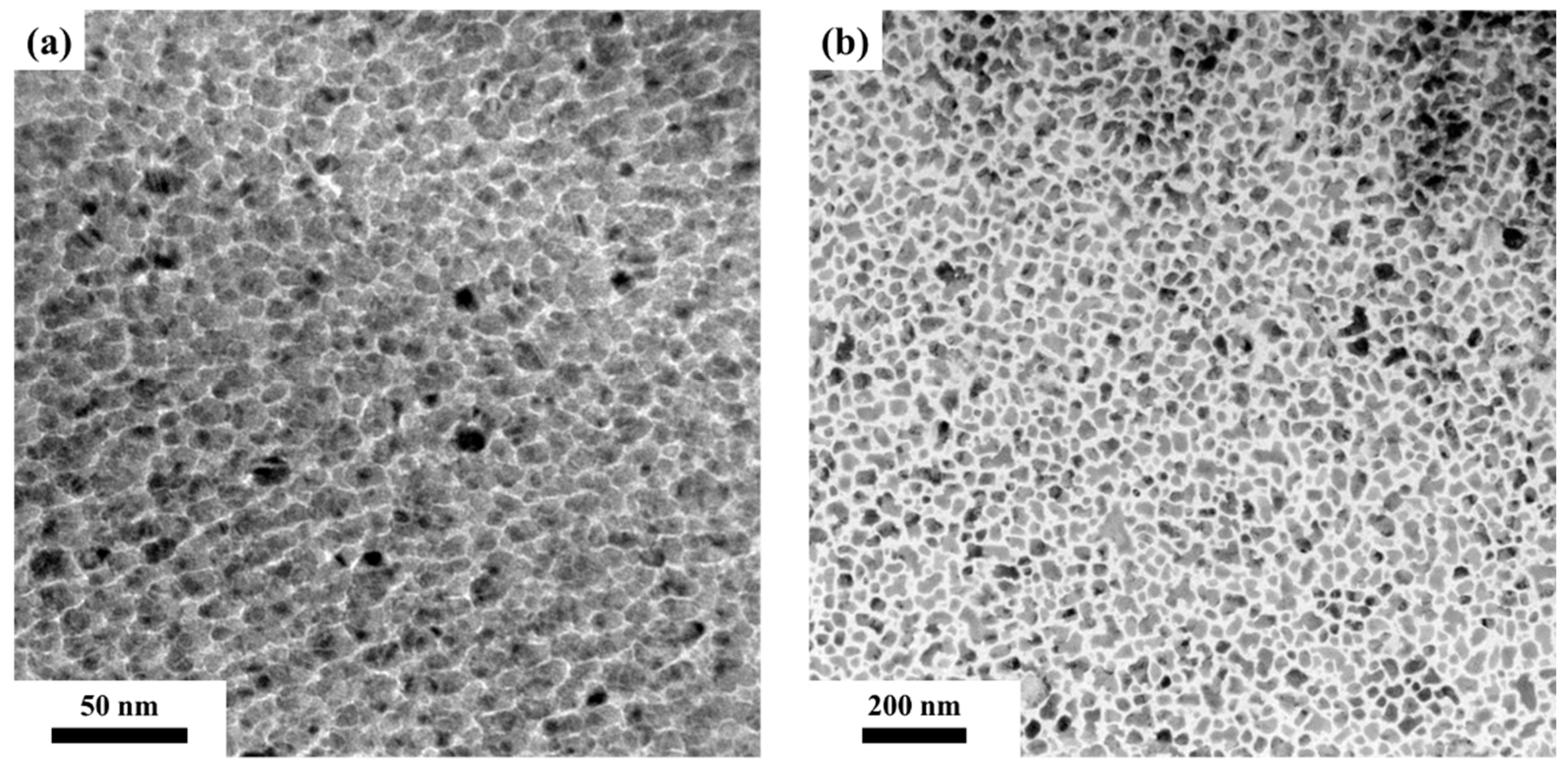 Nanomaterials 12 00874 g006