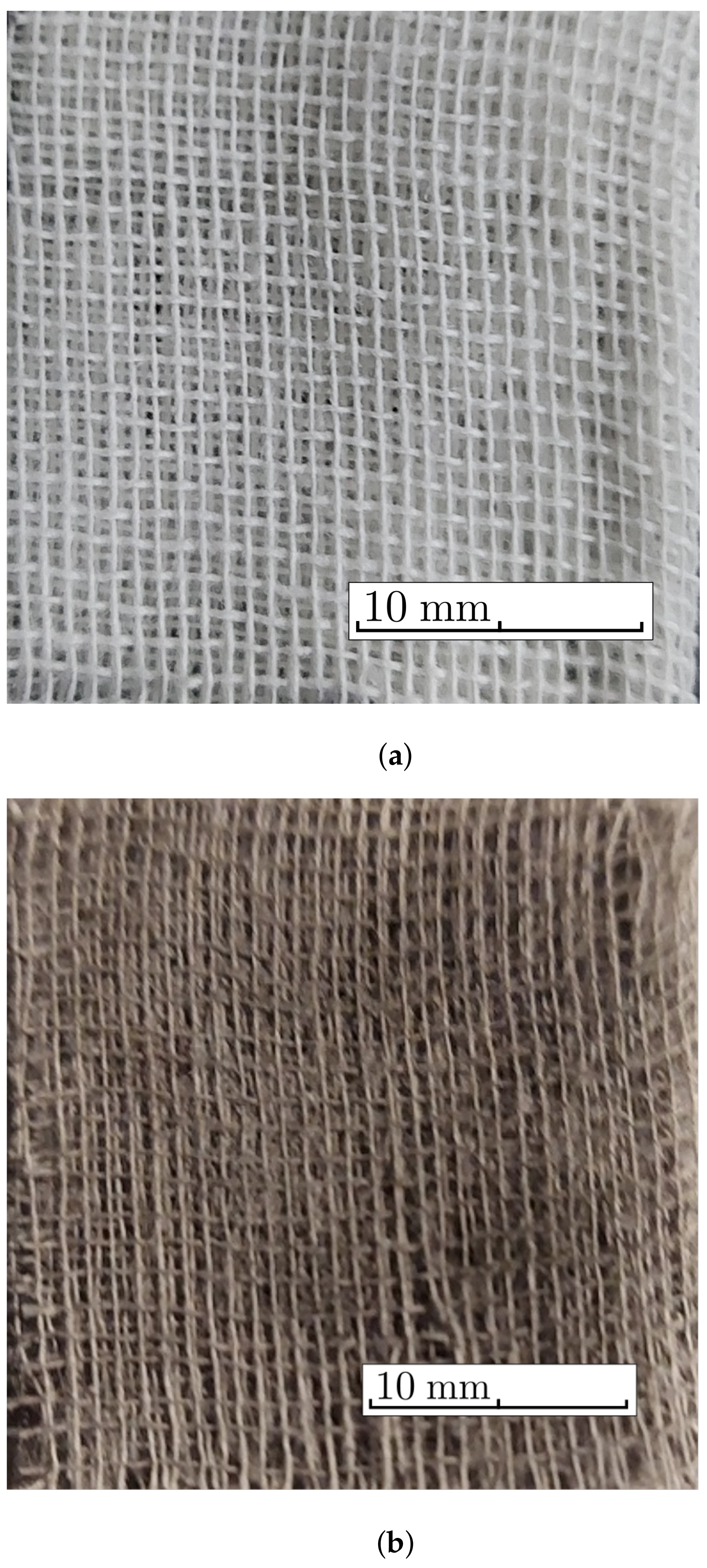 Nanomaterials 12 00888 g005