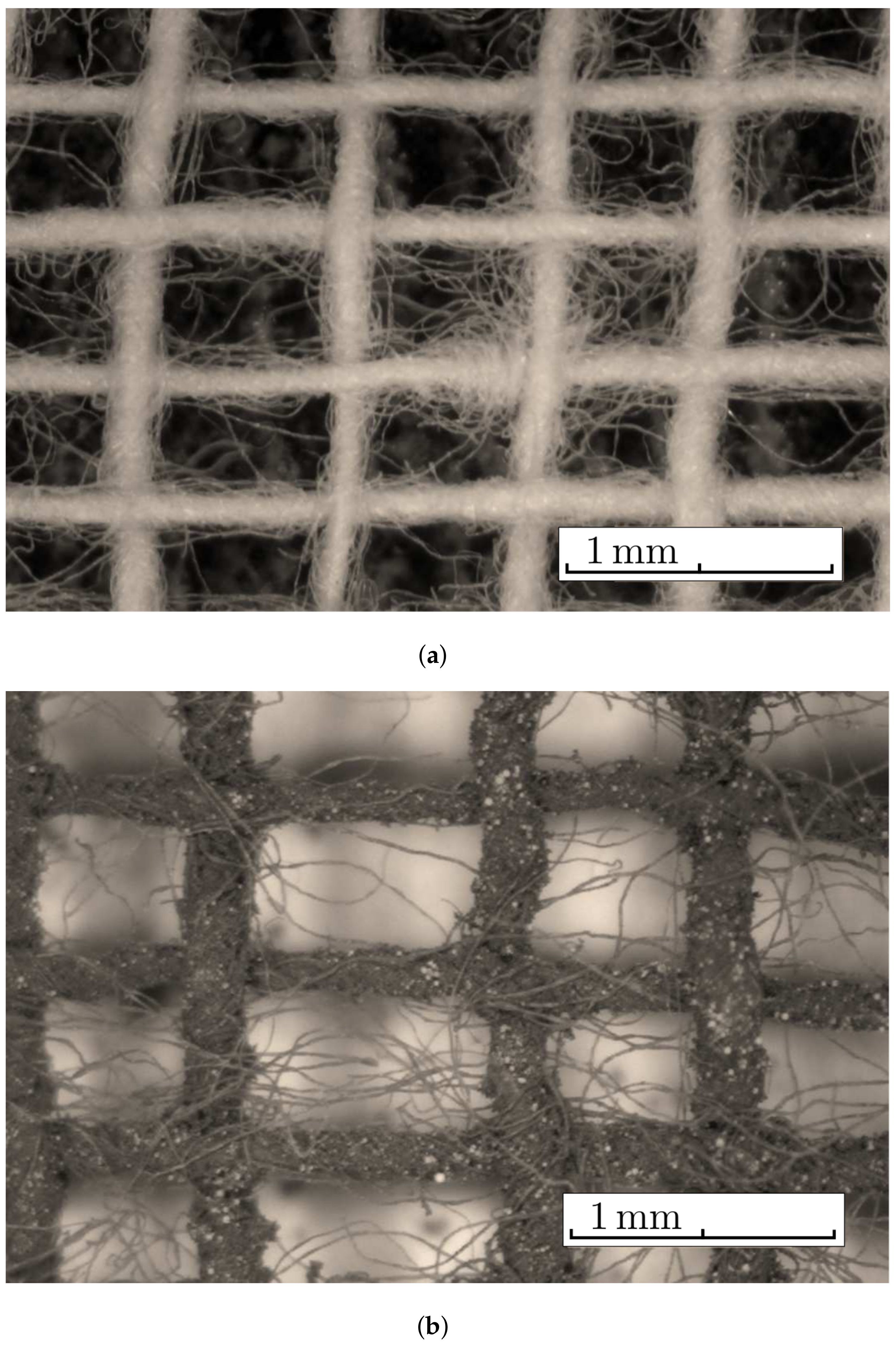 Nanomaterials 12 00888 g006