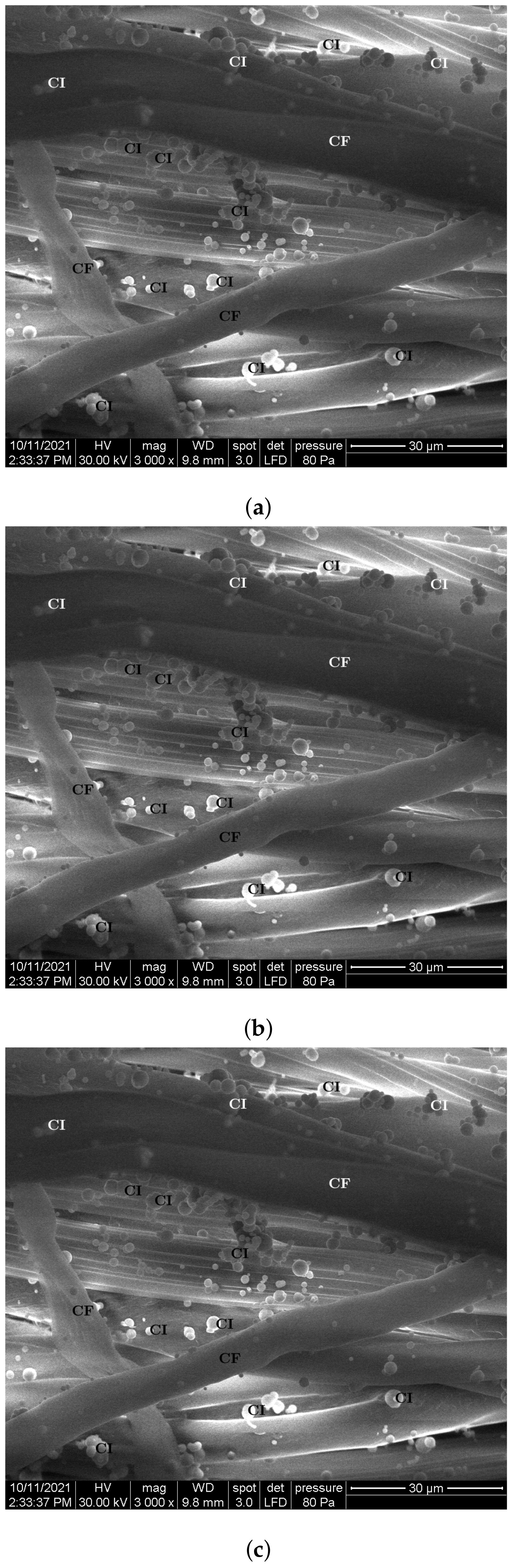 Nanomaterials 12 00888 g007