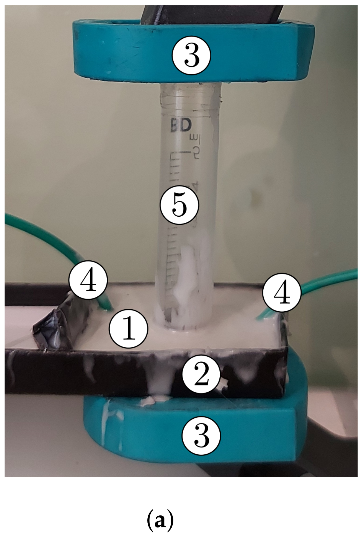 Nanomaterials 12 00888 g010a
