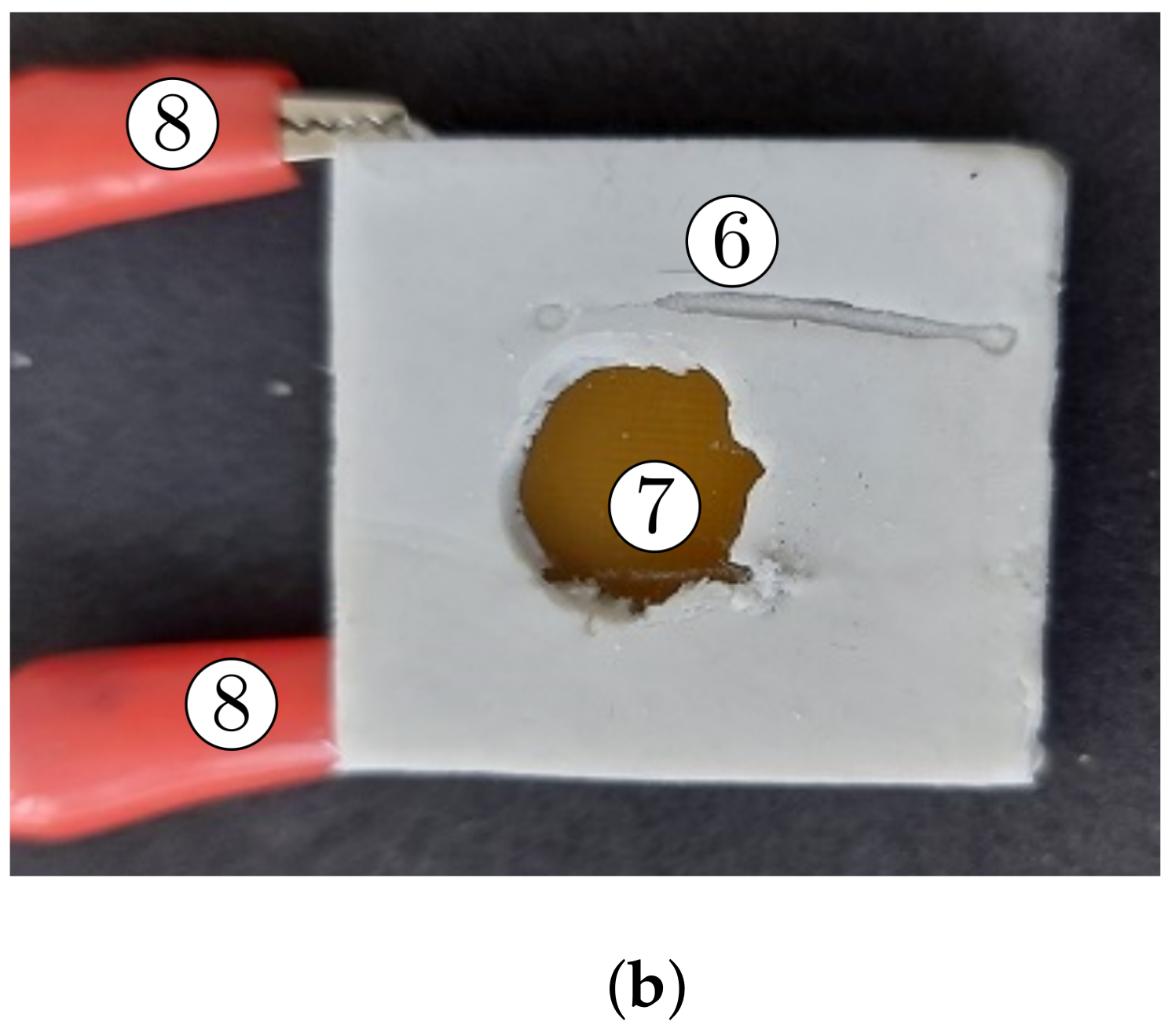 Nanomaterials 12 00888 g010b