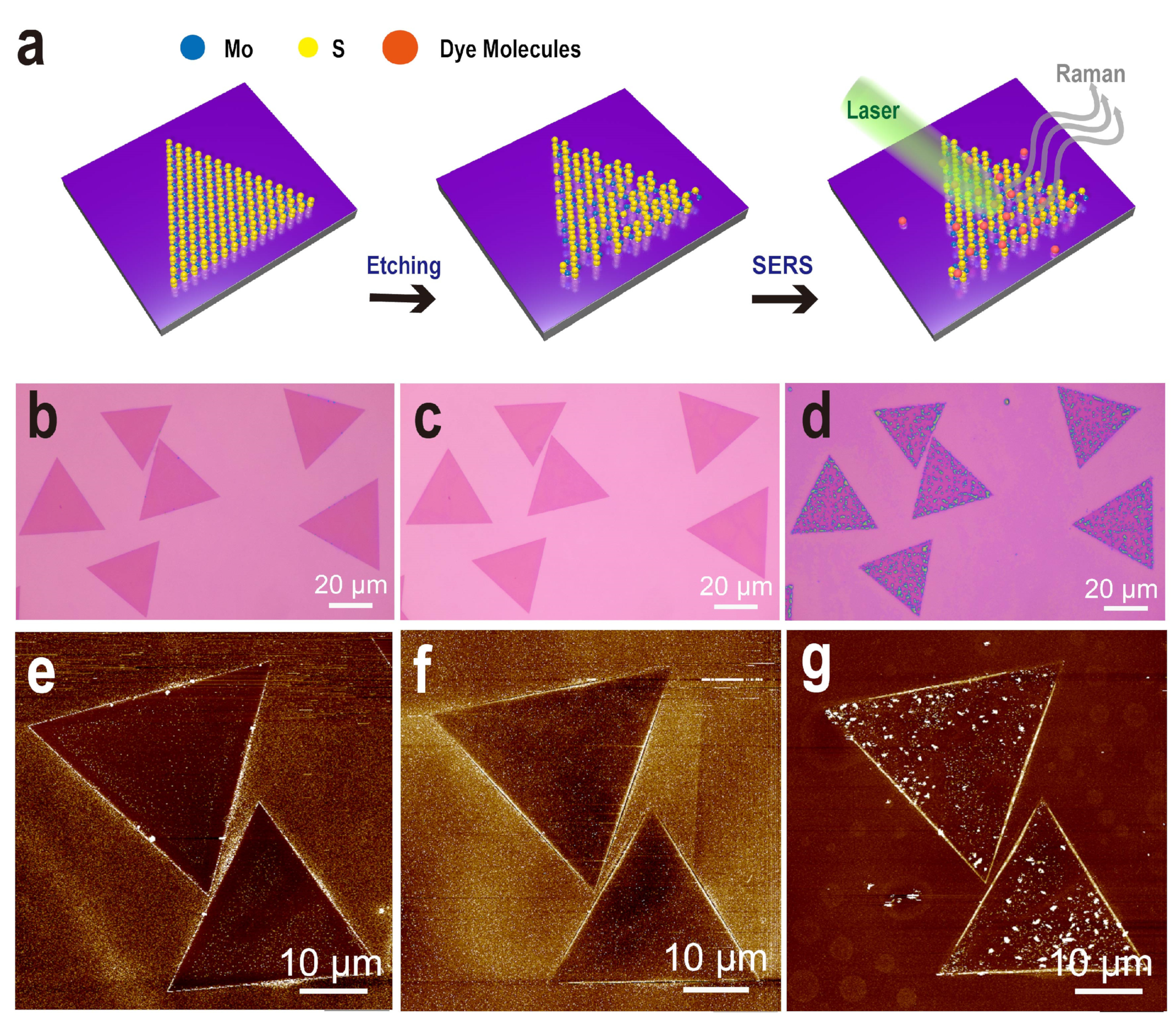 Nanomaterials 12 00896 g001 Nanomaterials 12 00896 g001