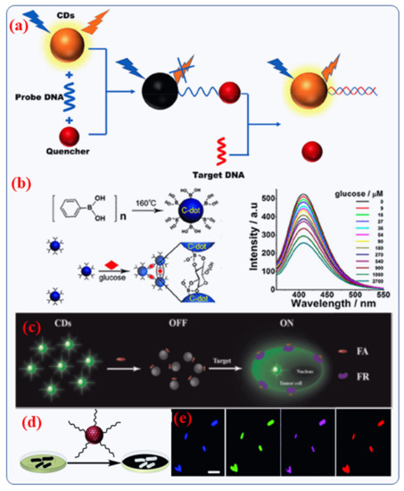 Nanomaterials 12 00898 g008