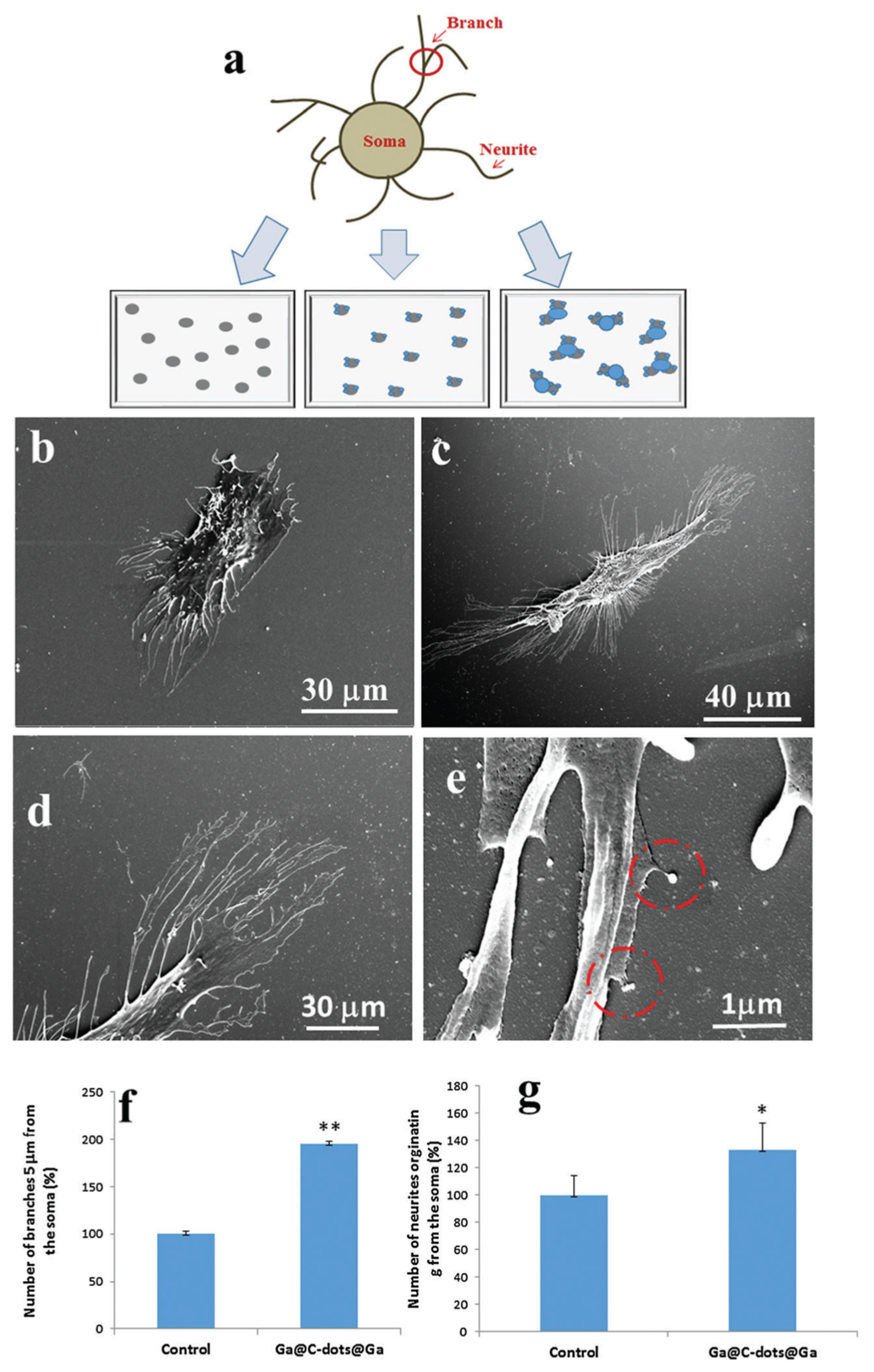 Nanomaterials 12 00898 g011