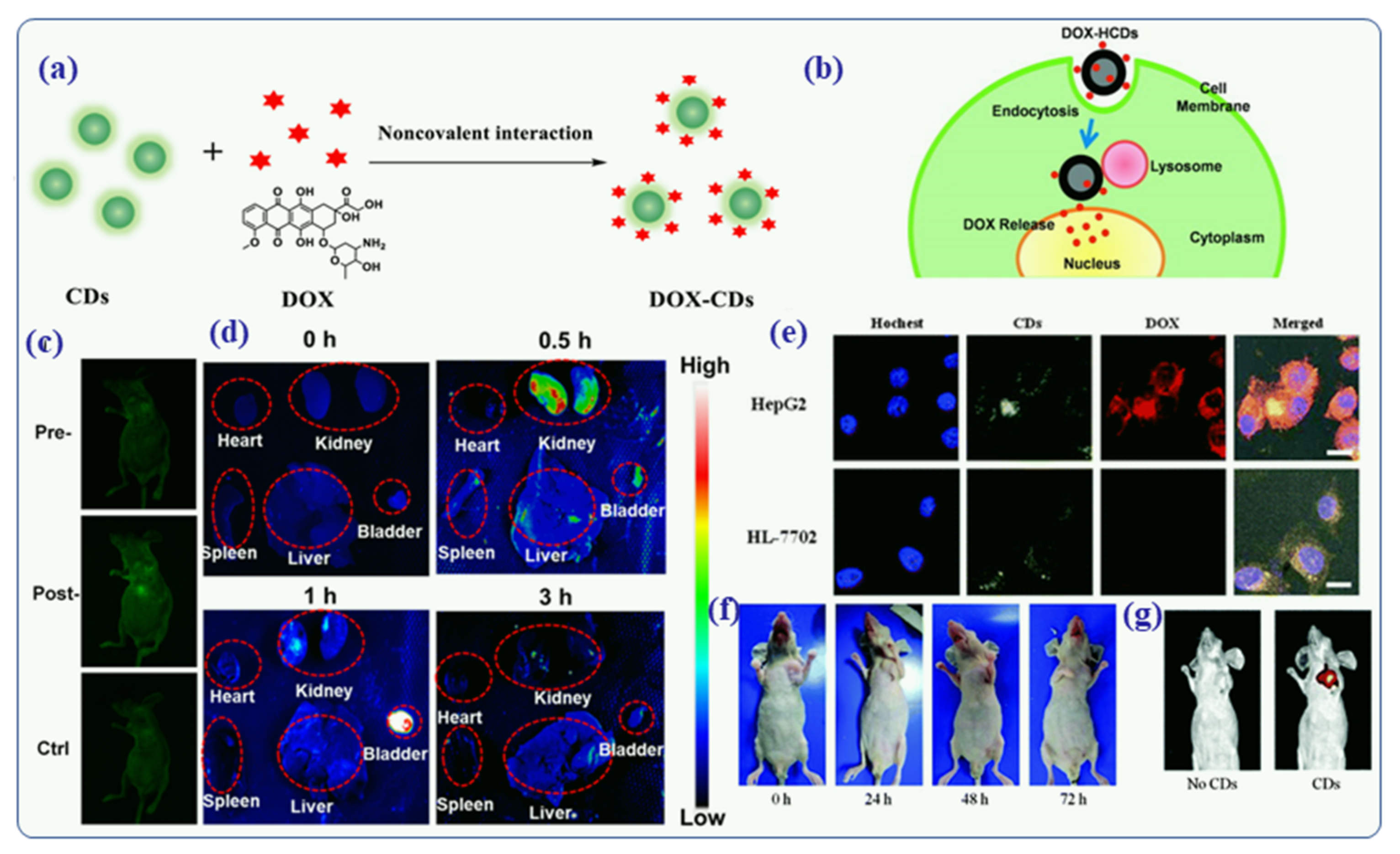 Nanomaterials 12 00898 g012