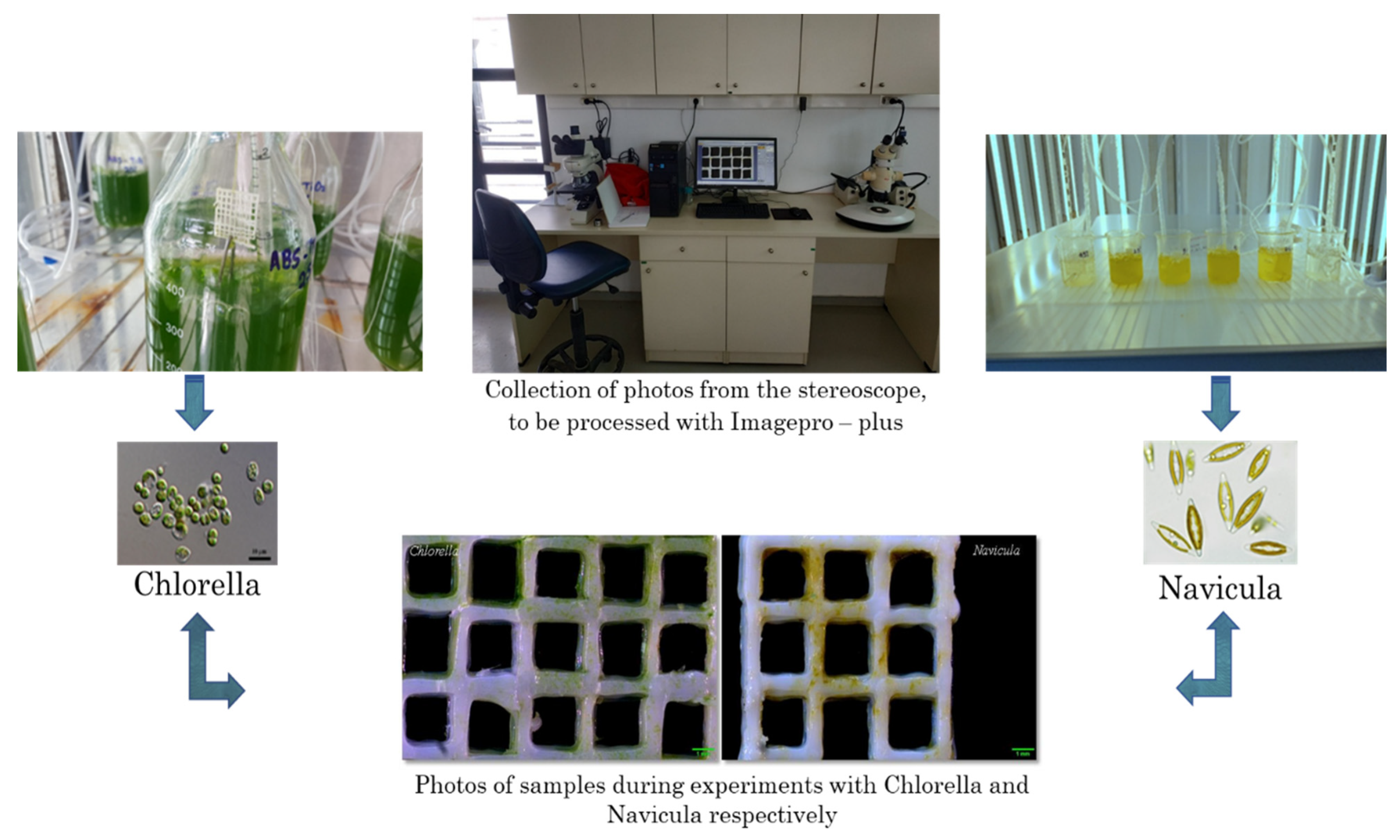 Nanomaterials 12 00917 g002