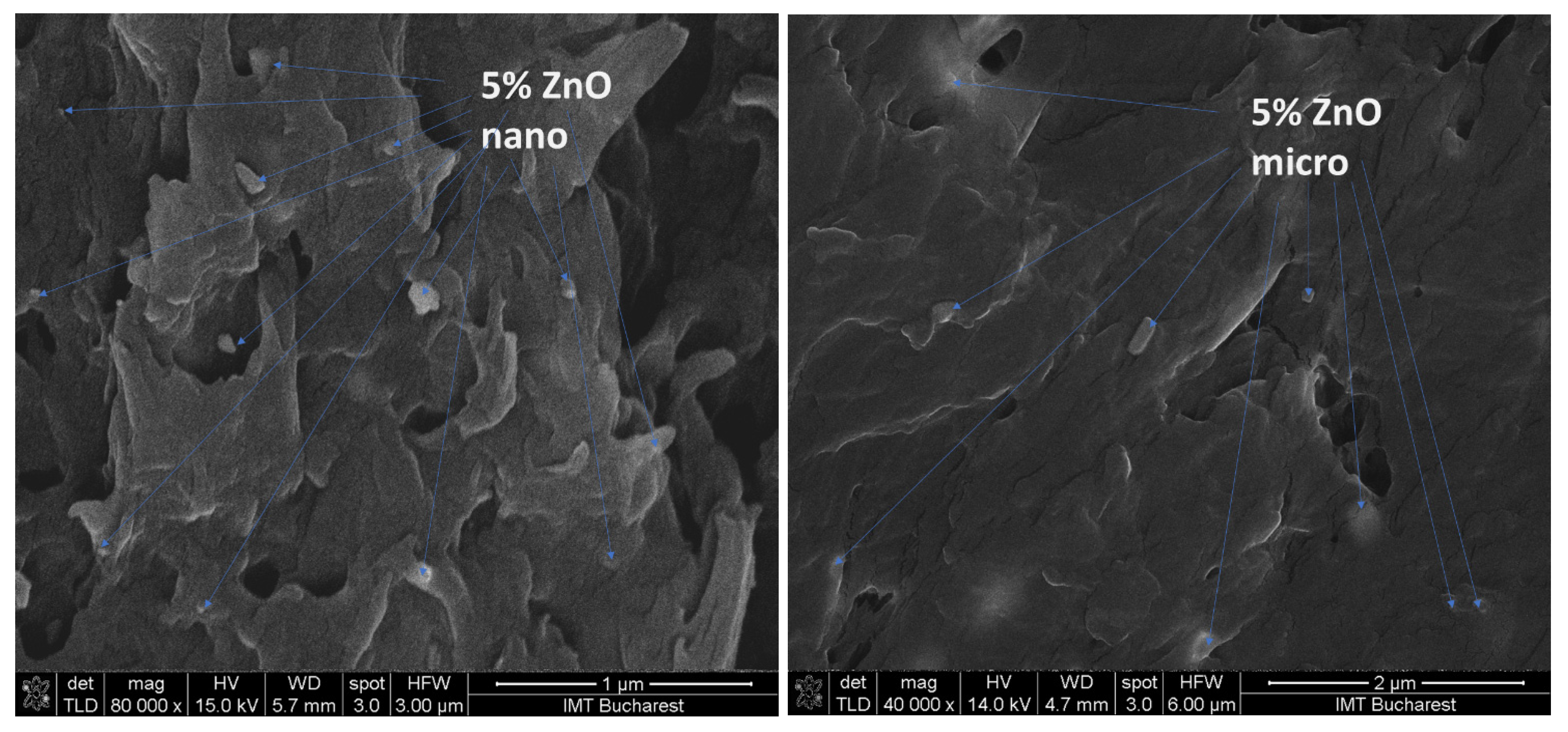 Nanomaterials 12 00917 g004