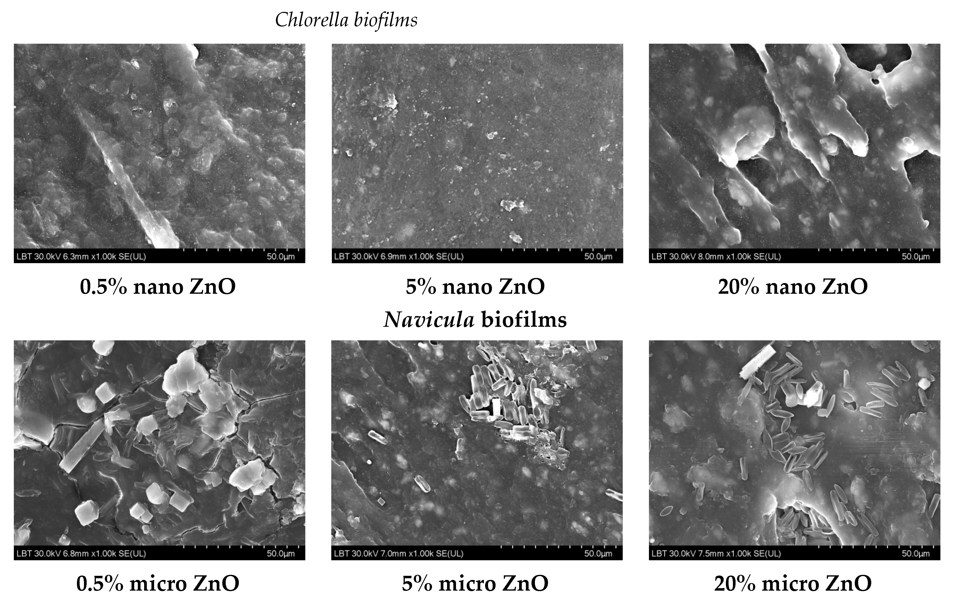Nanomaterials 12 00917 g012