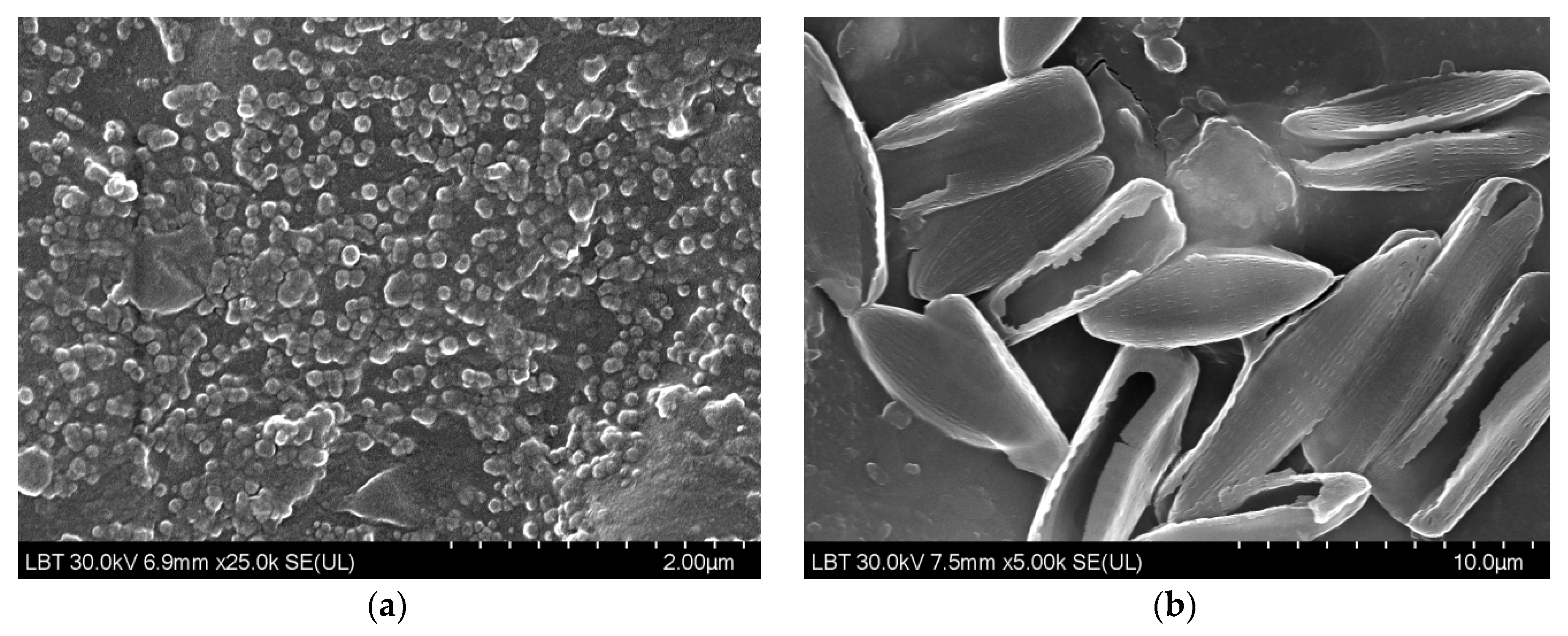 Nanomaterials 12 00917 g013