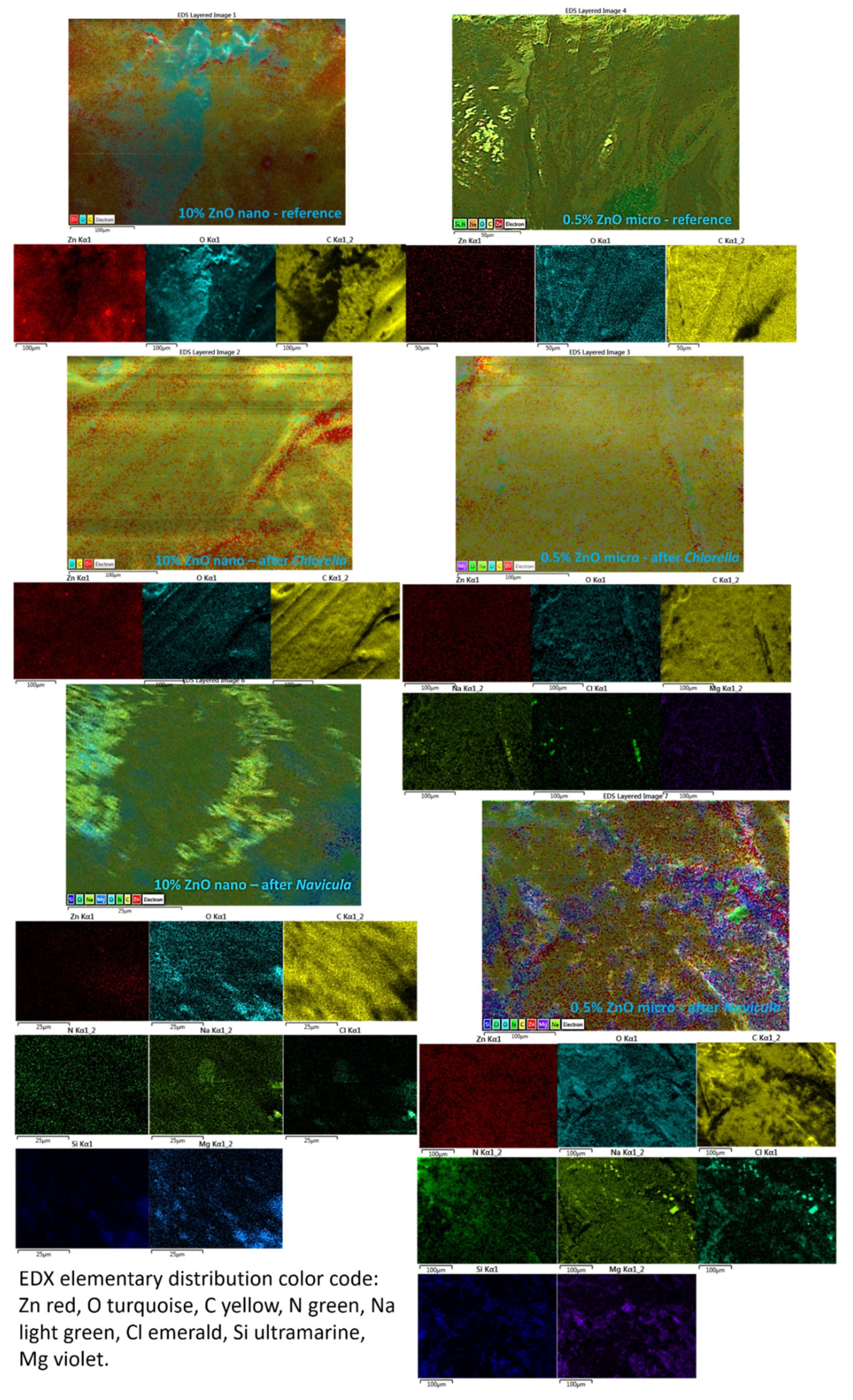 Nanomaterials 12 00917 g014