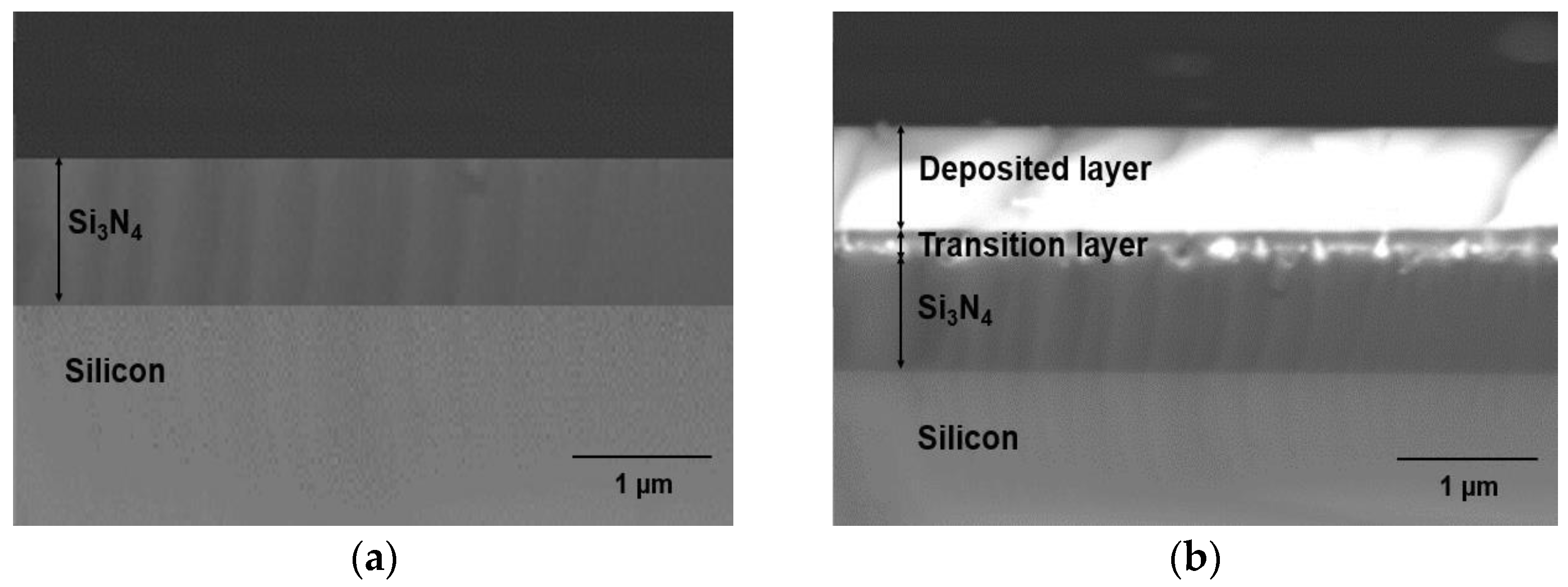 Nanomaterials 12 00919 g008a