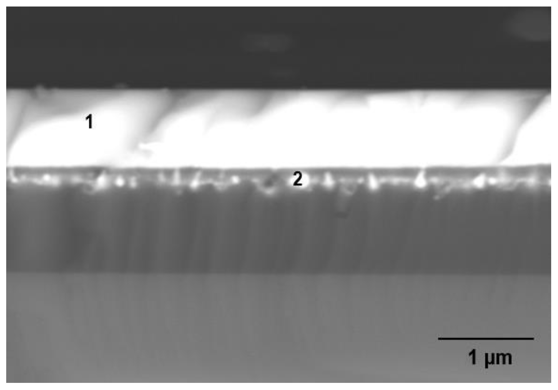 Nanomaterials 12 00919 g010
