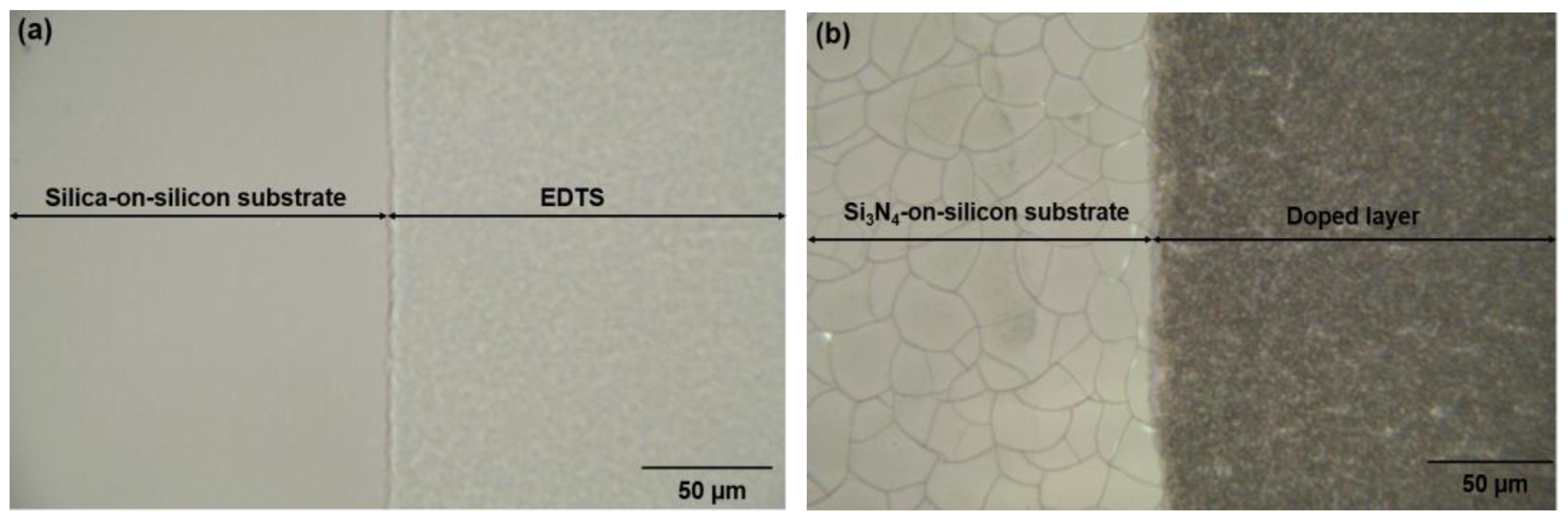 Nanomaterials 12 00919 g013