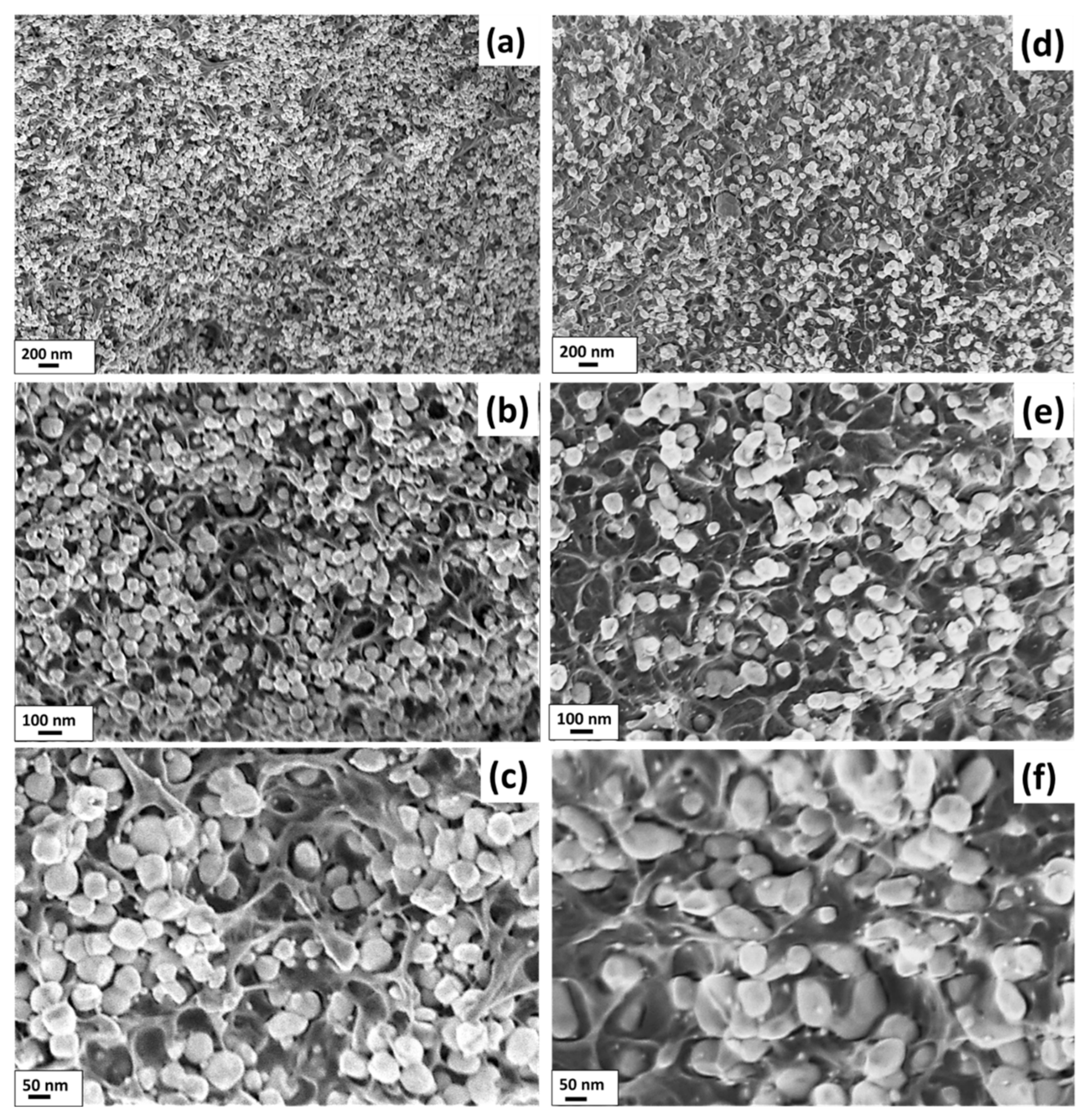 Nanomaterials 12 00934 g003