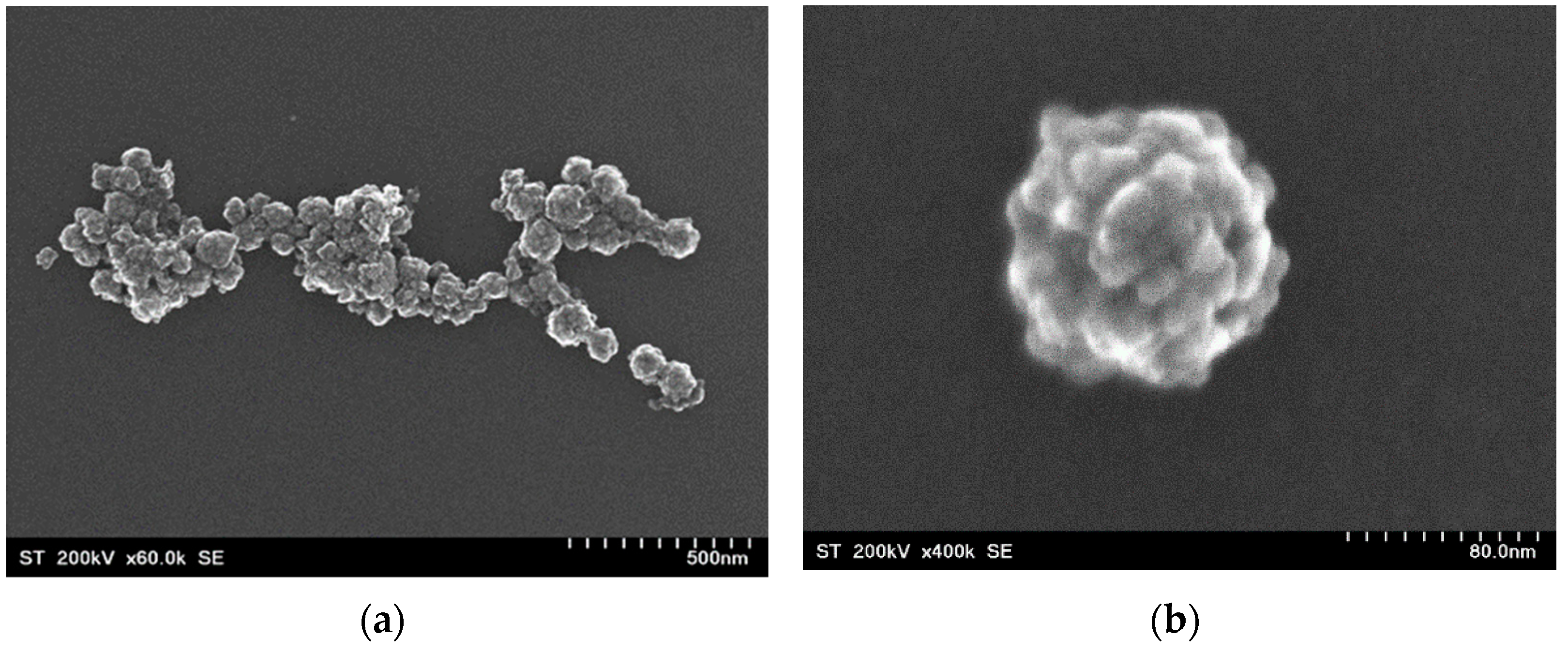 Nanomaterials 12 00942 g002a