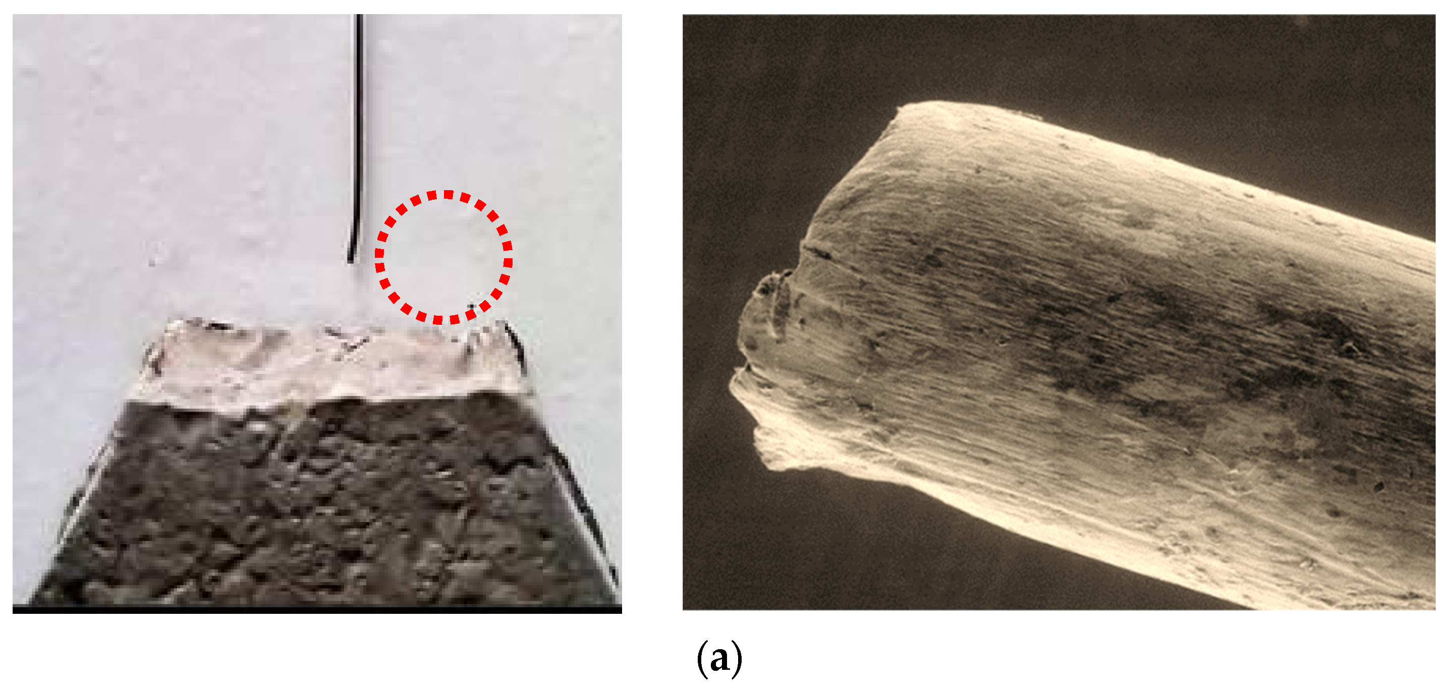 Nanomaterials 12 00943 g004a