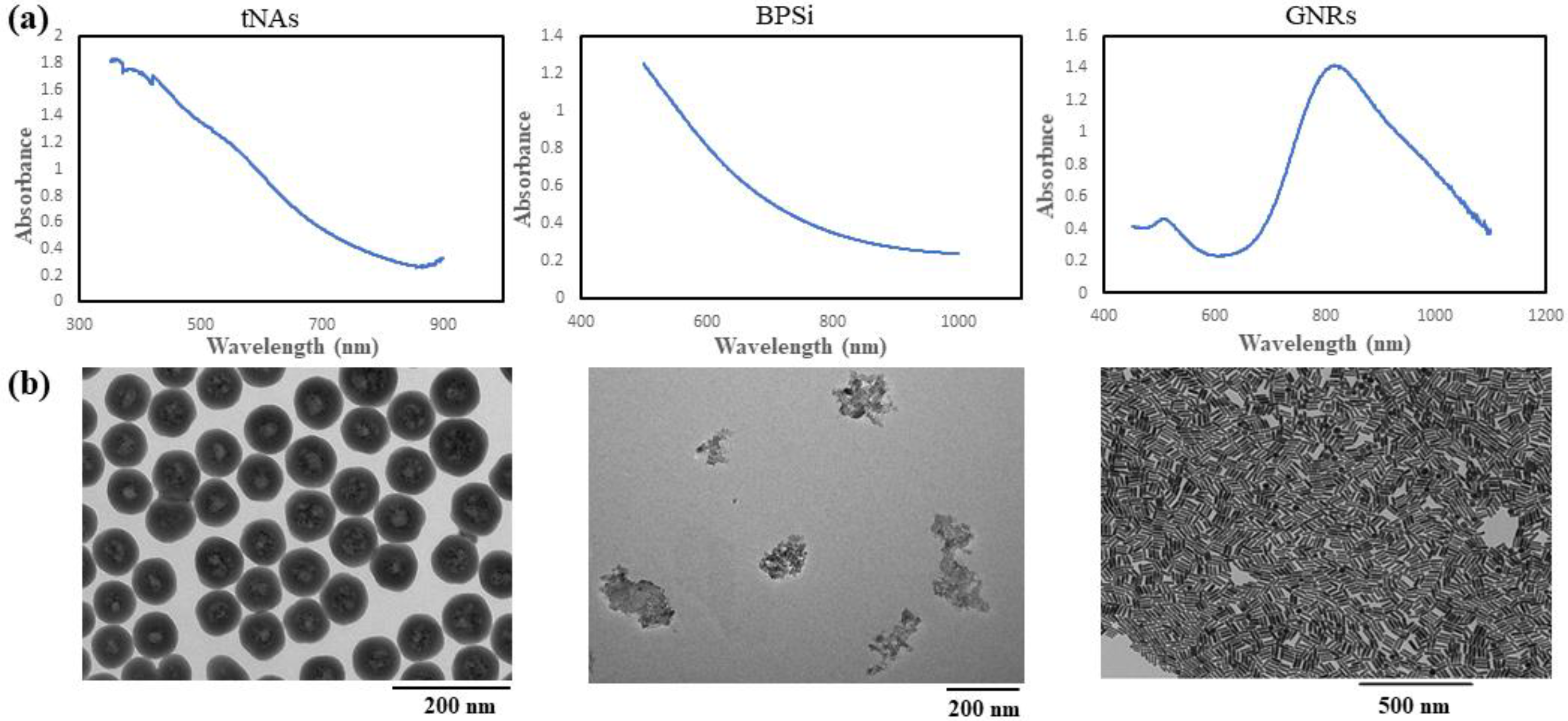 Nanomaterials 12 00945 g001a