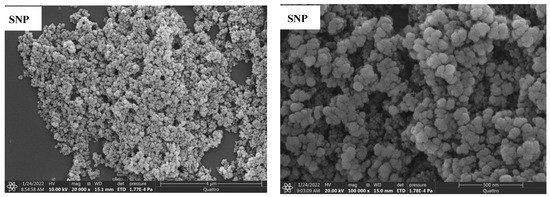 Nanomaterials 12 00947 g007a 550