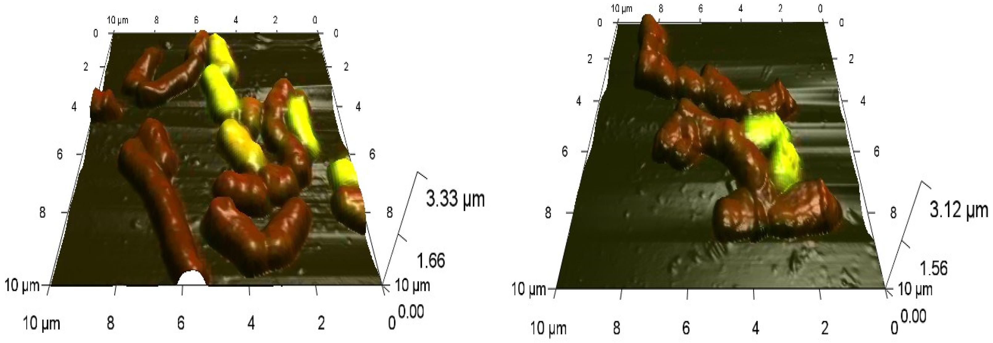 Nanomaterials 12 00951 g004