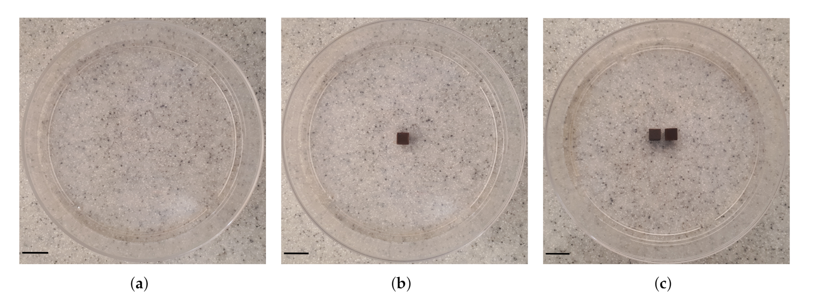 Nanomaterials 12 00955 g003