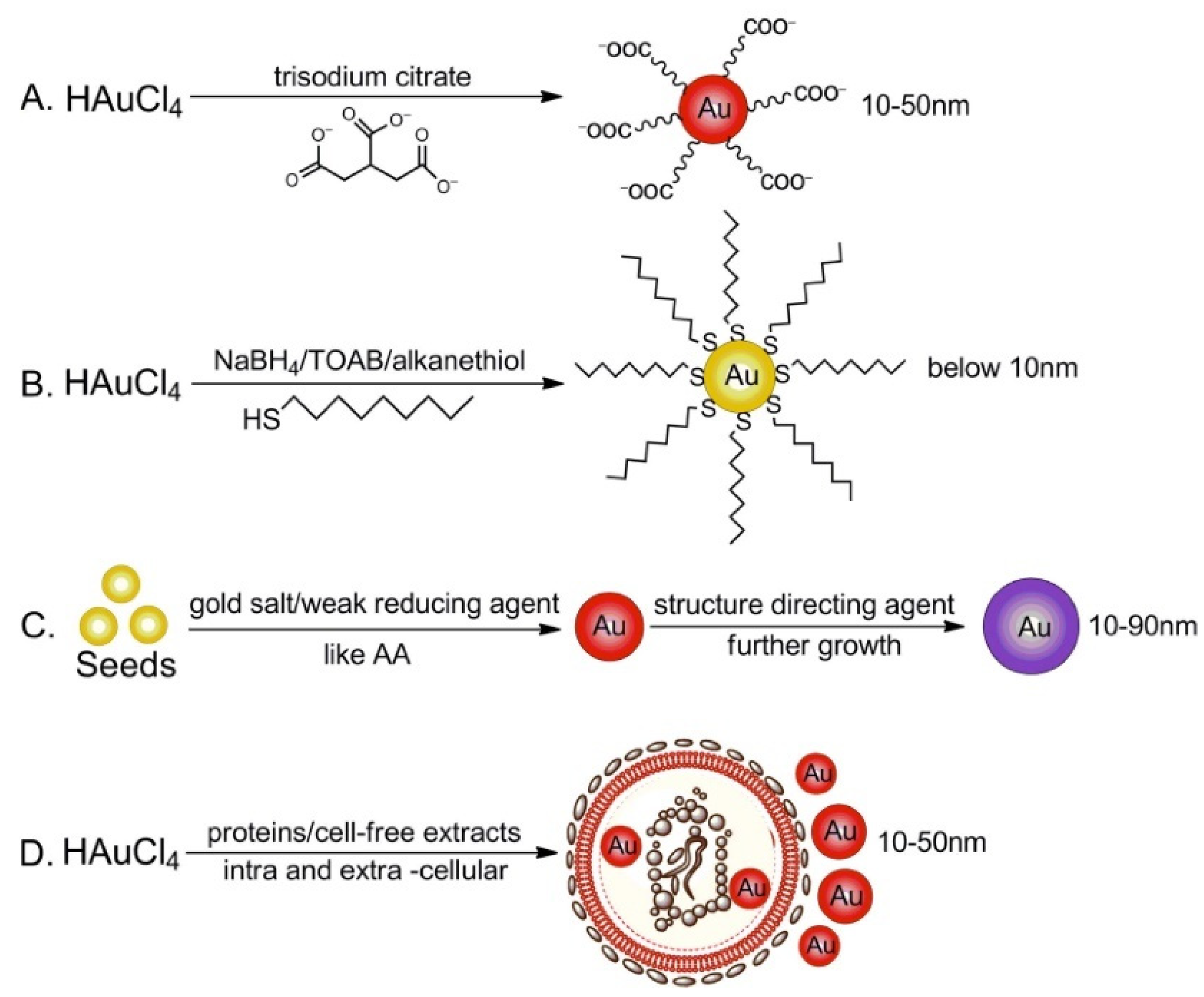 Nanomaterials 12 00959 g002