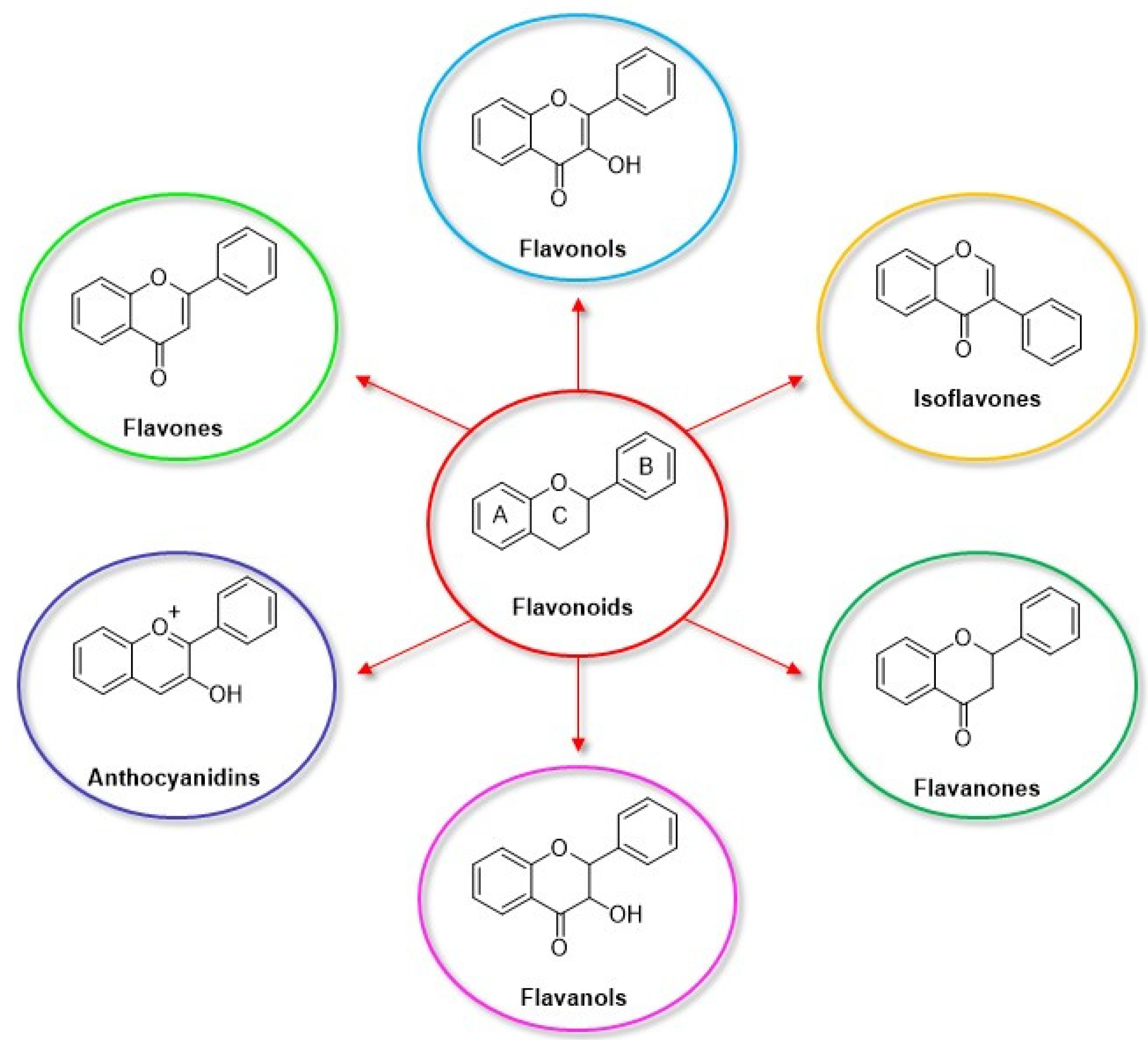Nanomaterials 12 00959 g012