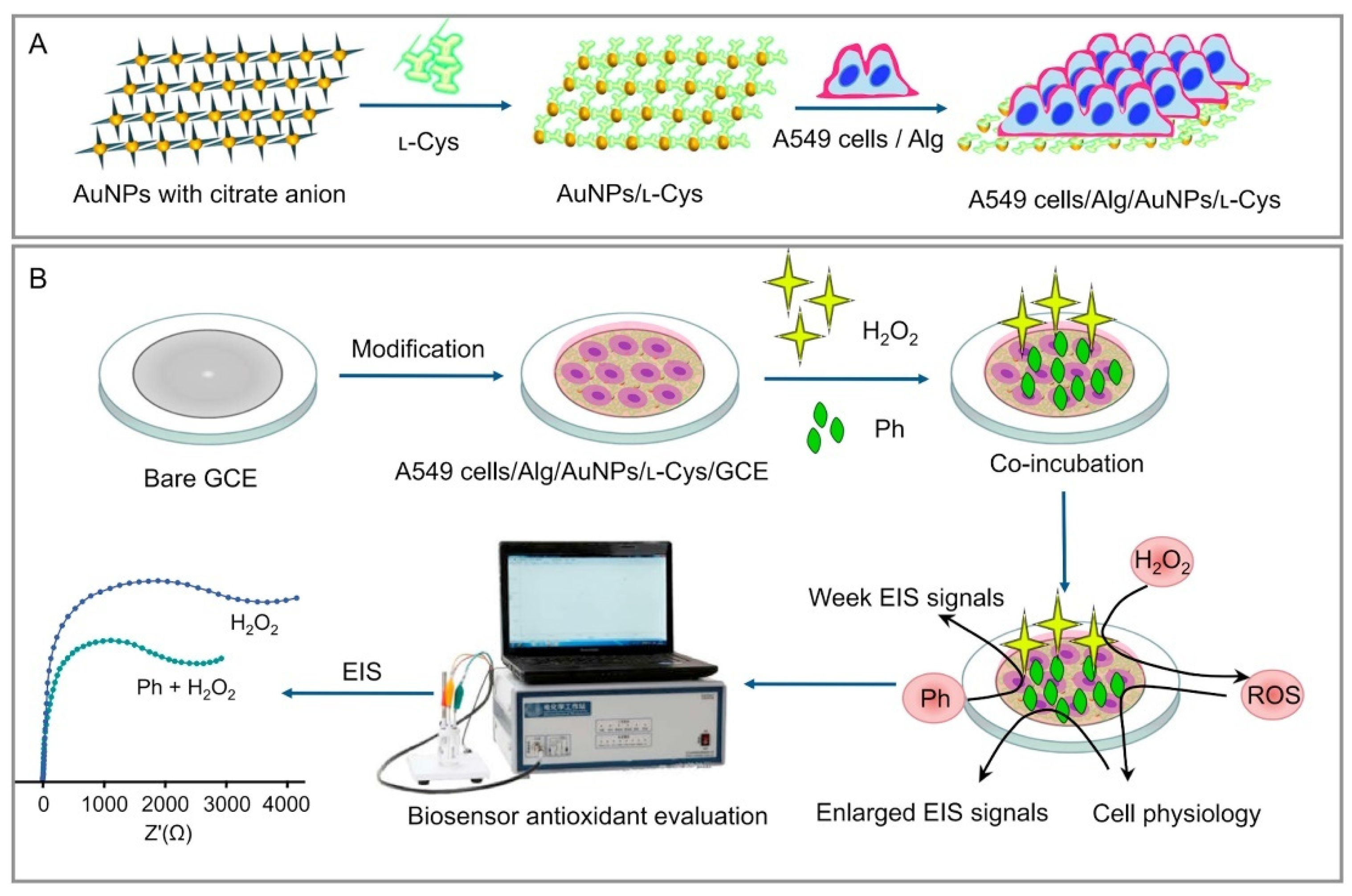 Nanomaterials 12 00959 g015