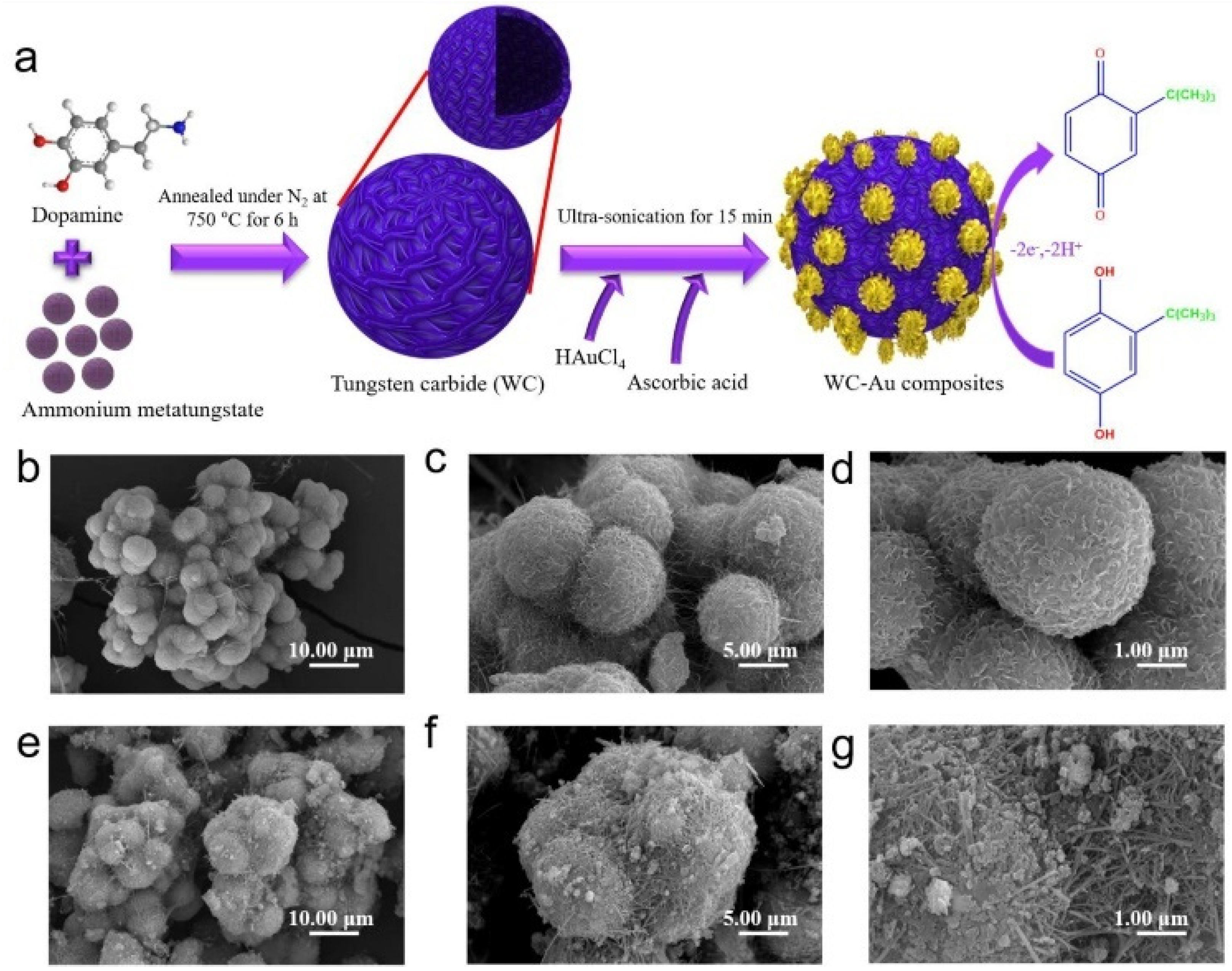 Nanomaterials 12 00959 g026