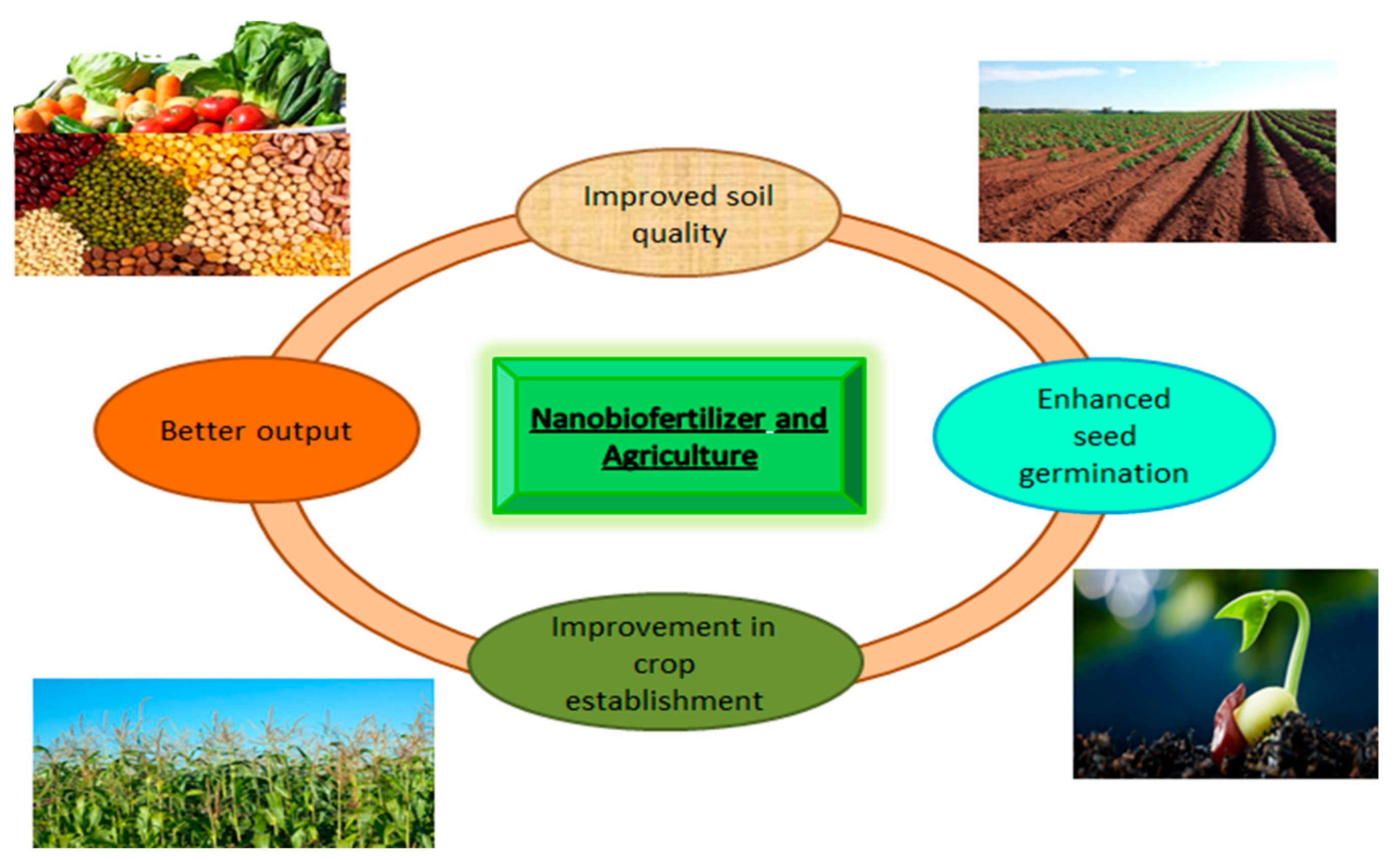 Nanomaterials 12 00965 g001
