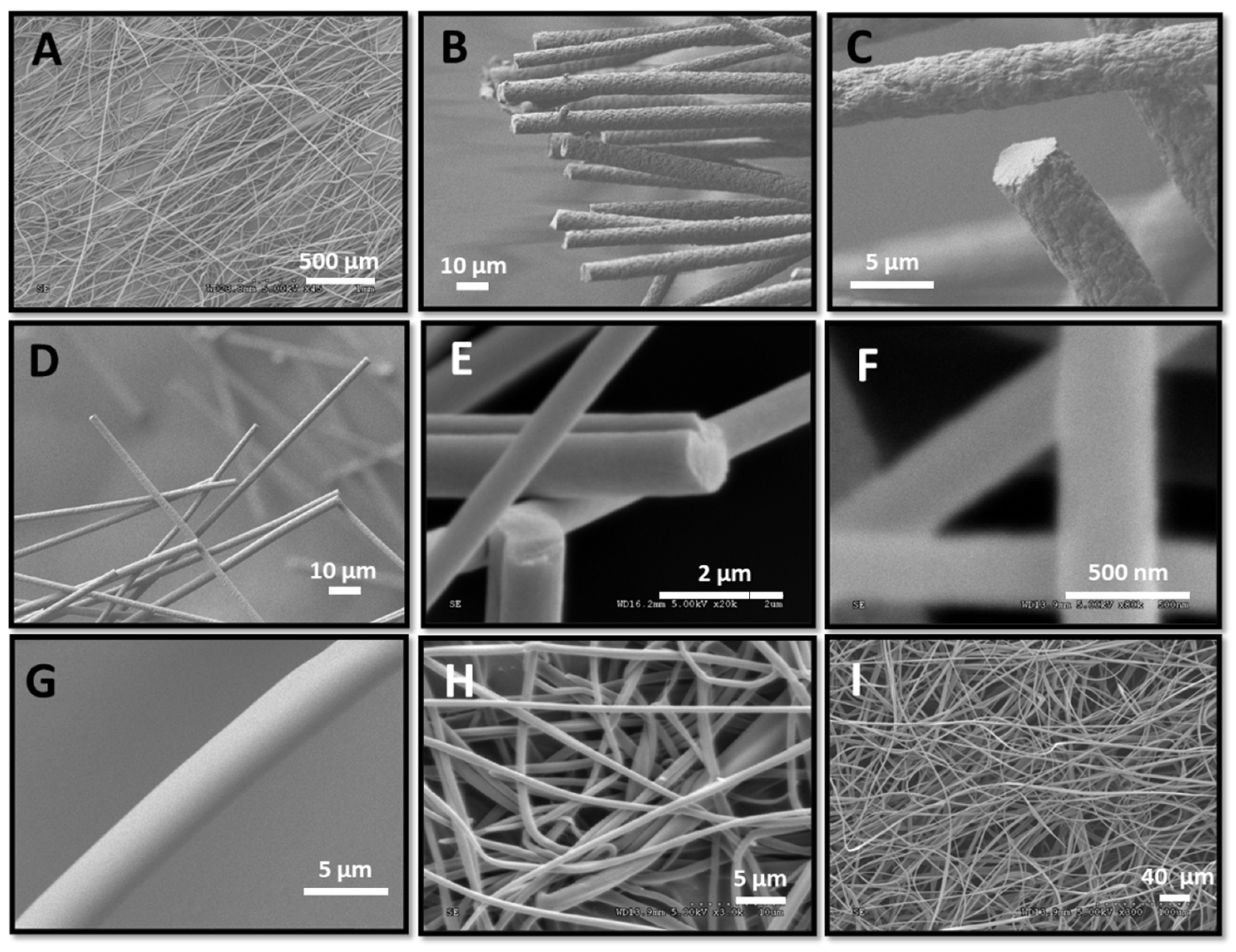 Nanomaterials 12 00967 g003