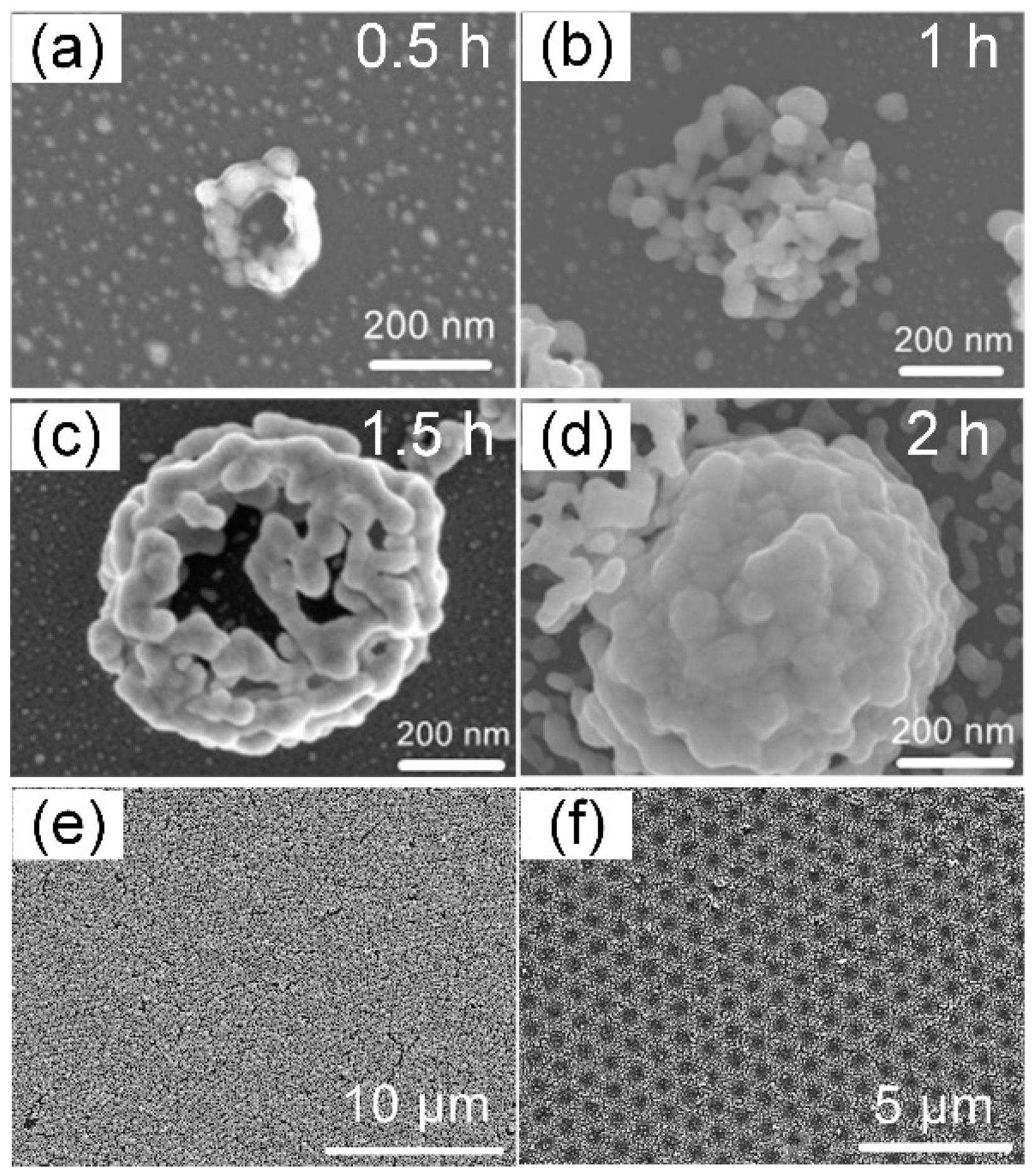 Nanomaterials 12 00970 g002 Nanomaterials 12 00970 g002