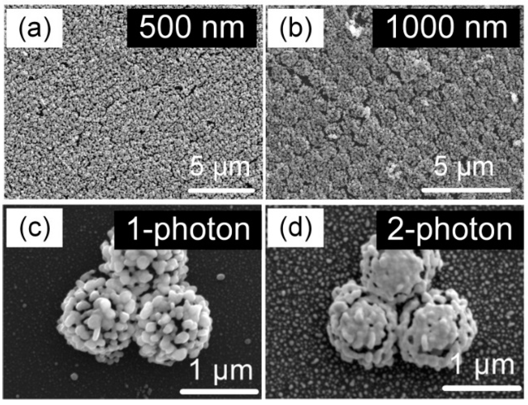 Nanomaterials 12 00970 g004 Nanomaterials 12 00970 g004