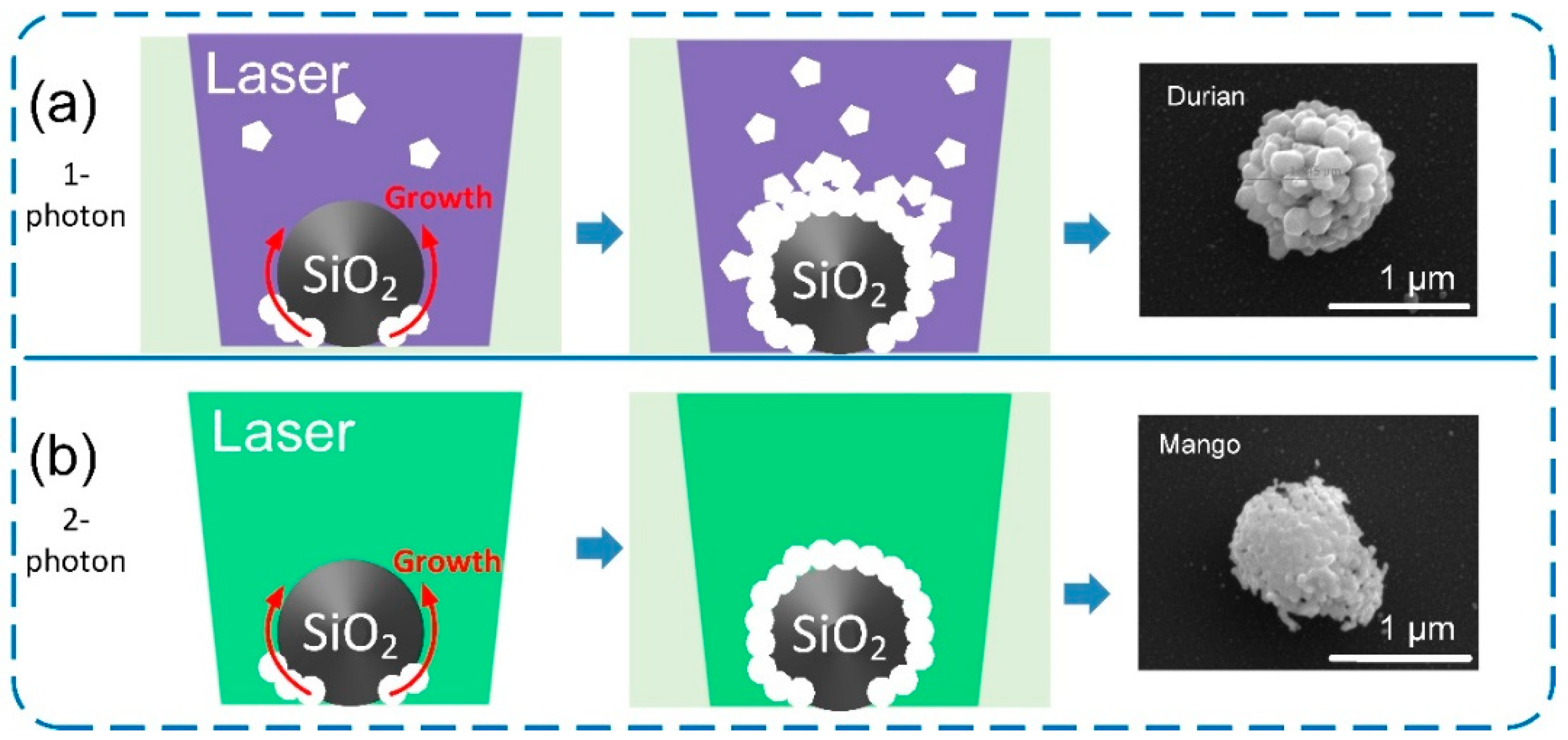 Nanomaterials 12 00970 g005 Nanomaterials 12 00970 g005
