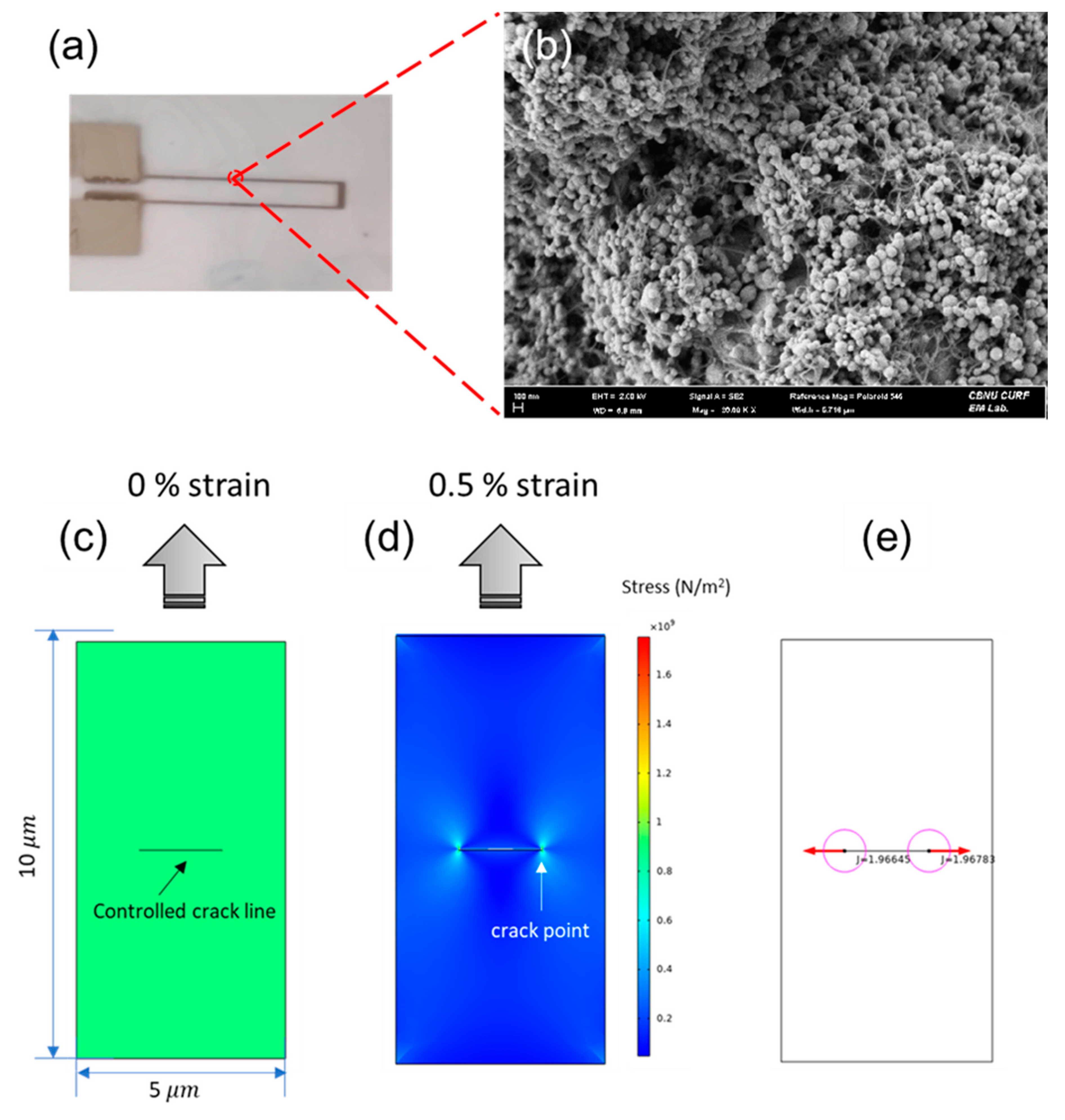 Nanomaterials 12 00972 g003