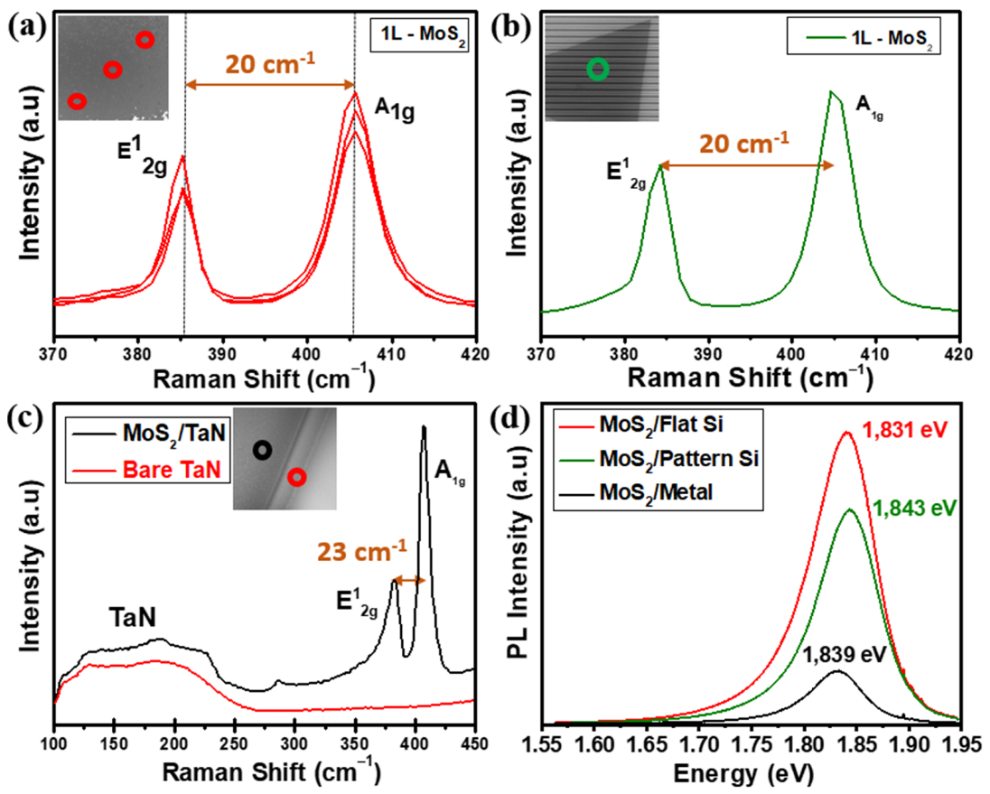 Nanomaterials 12 00973 g003