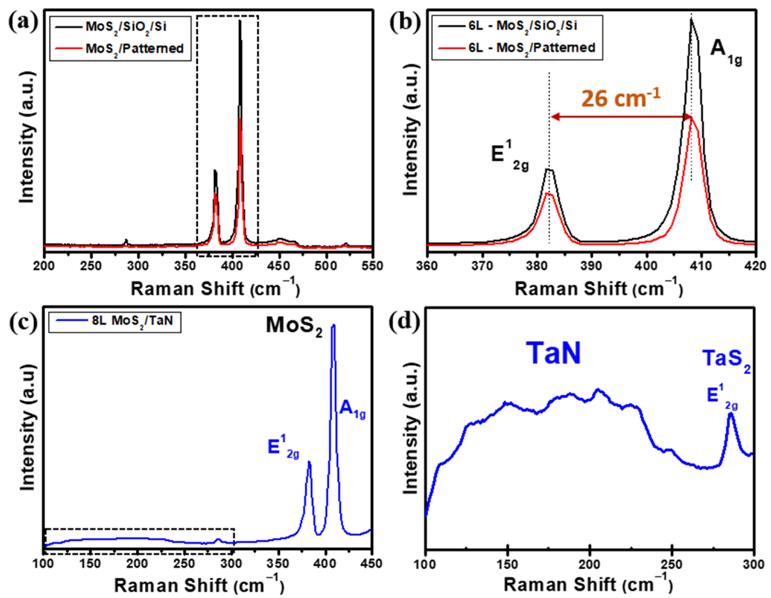 Nanomaterials 12 00973 g004