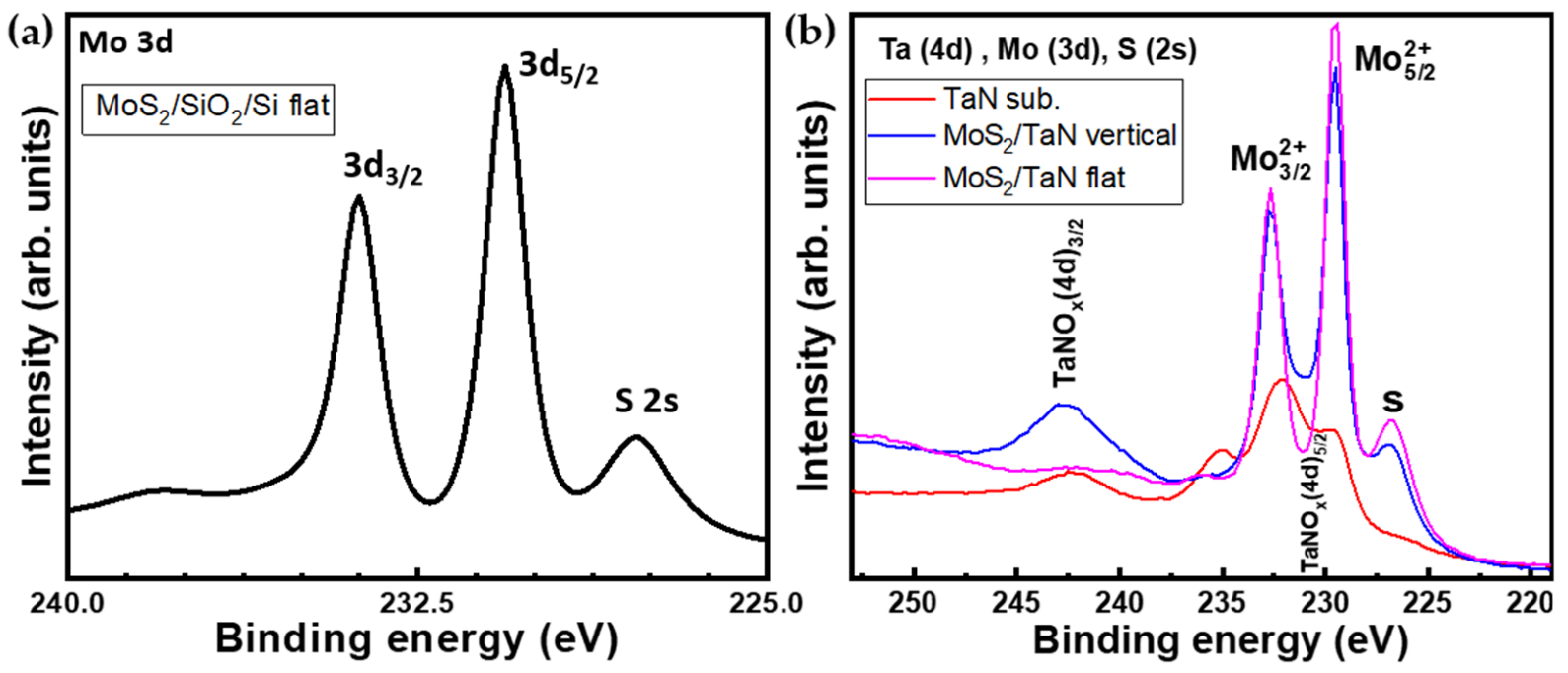 Nanomaterials 12 00973 g005