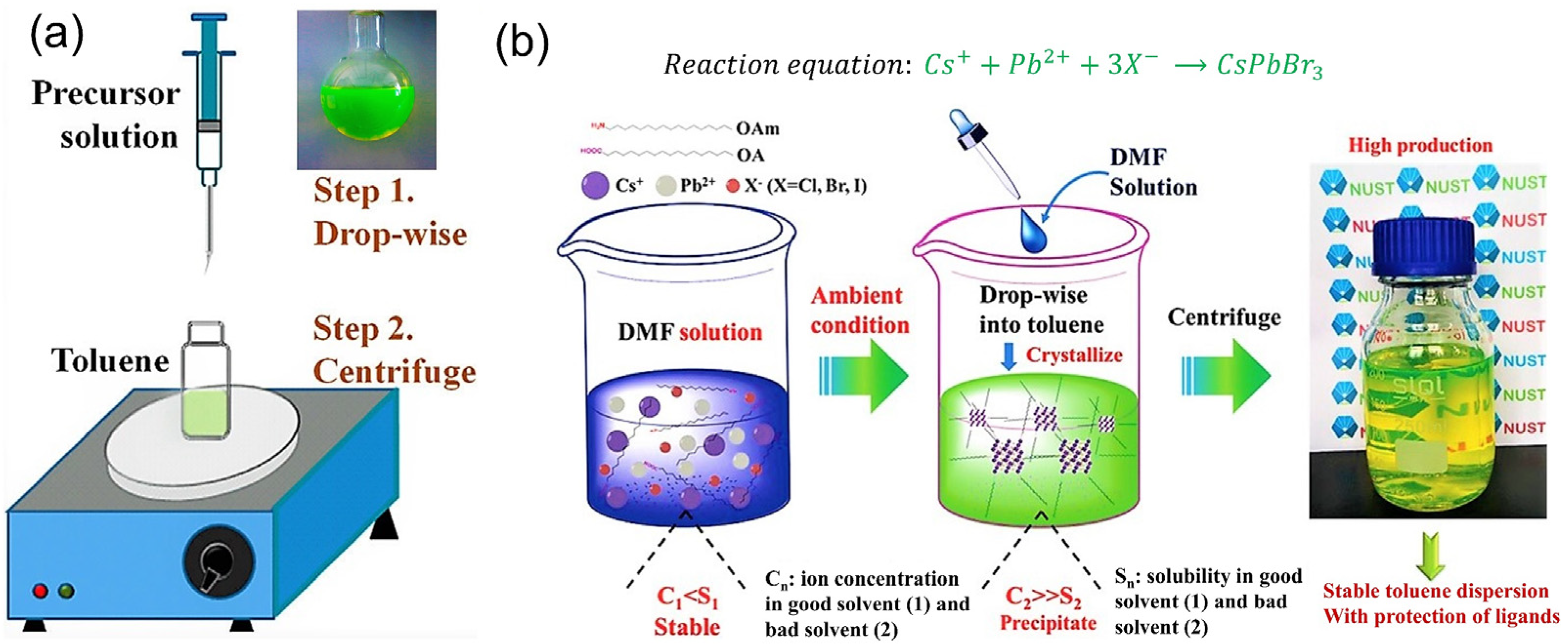 Nanomaterials 12 00985 g004