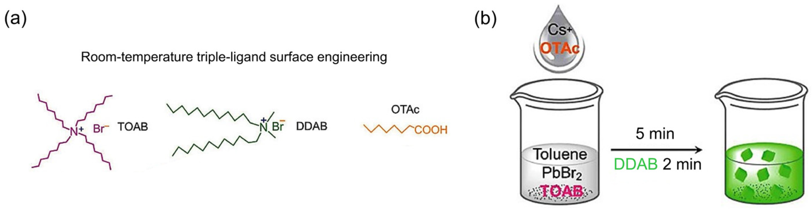 Nanomaterials 12 00985 g005