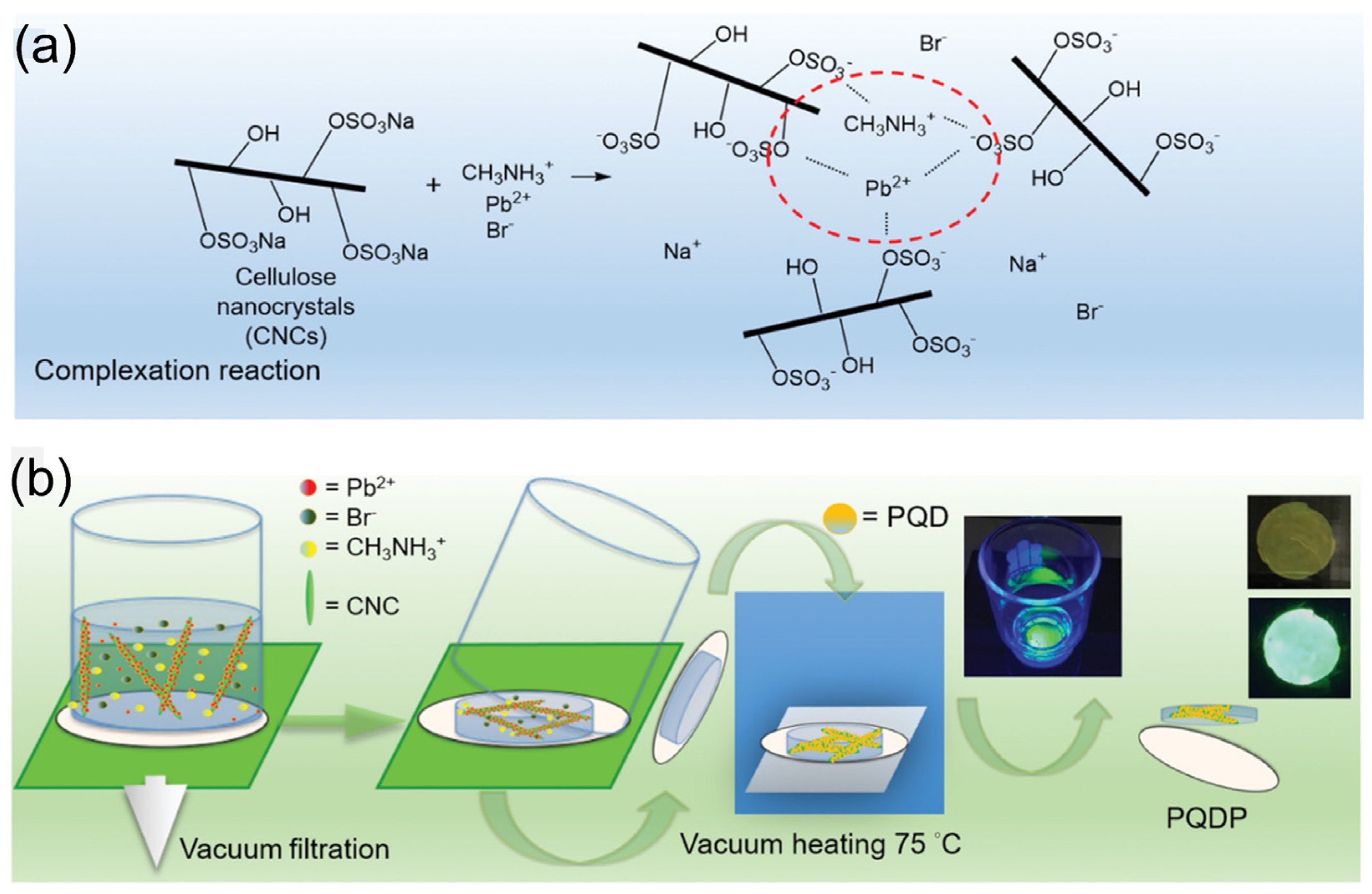 Nanomaterials 12 00985 g007