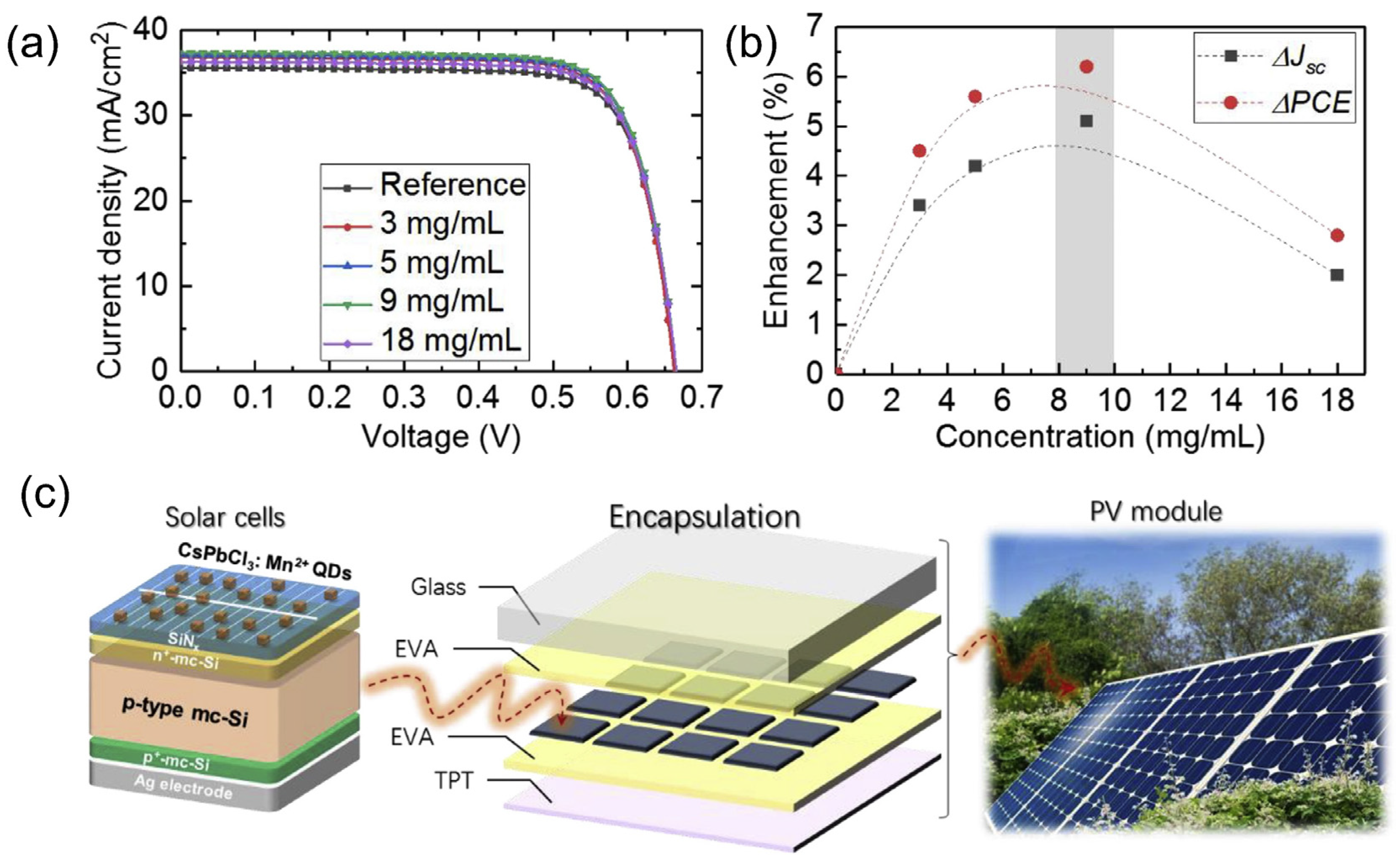 Nanomaterials 12 00985 g015