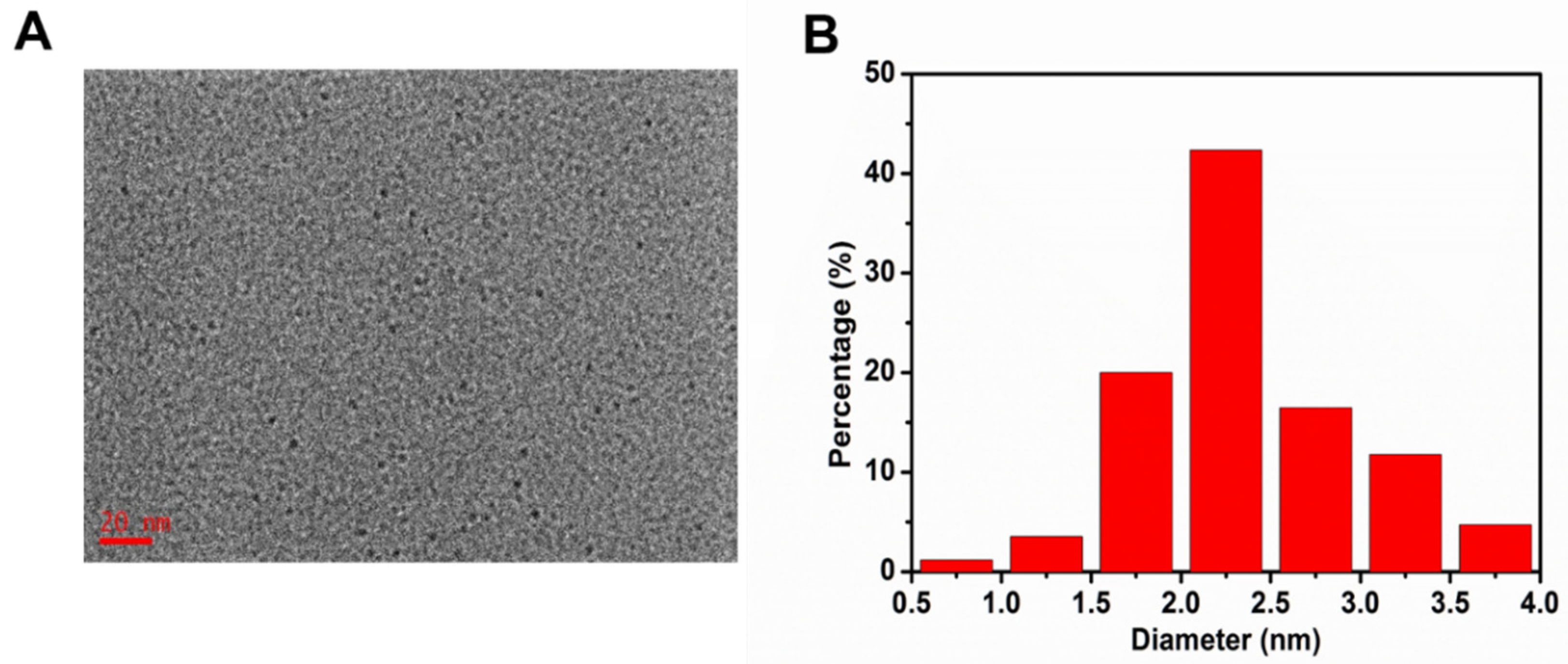 Nanomaterials 12 00986 g001