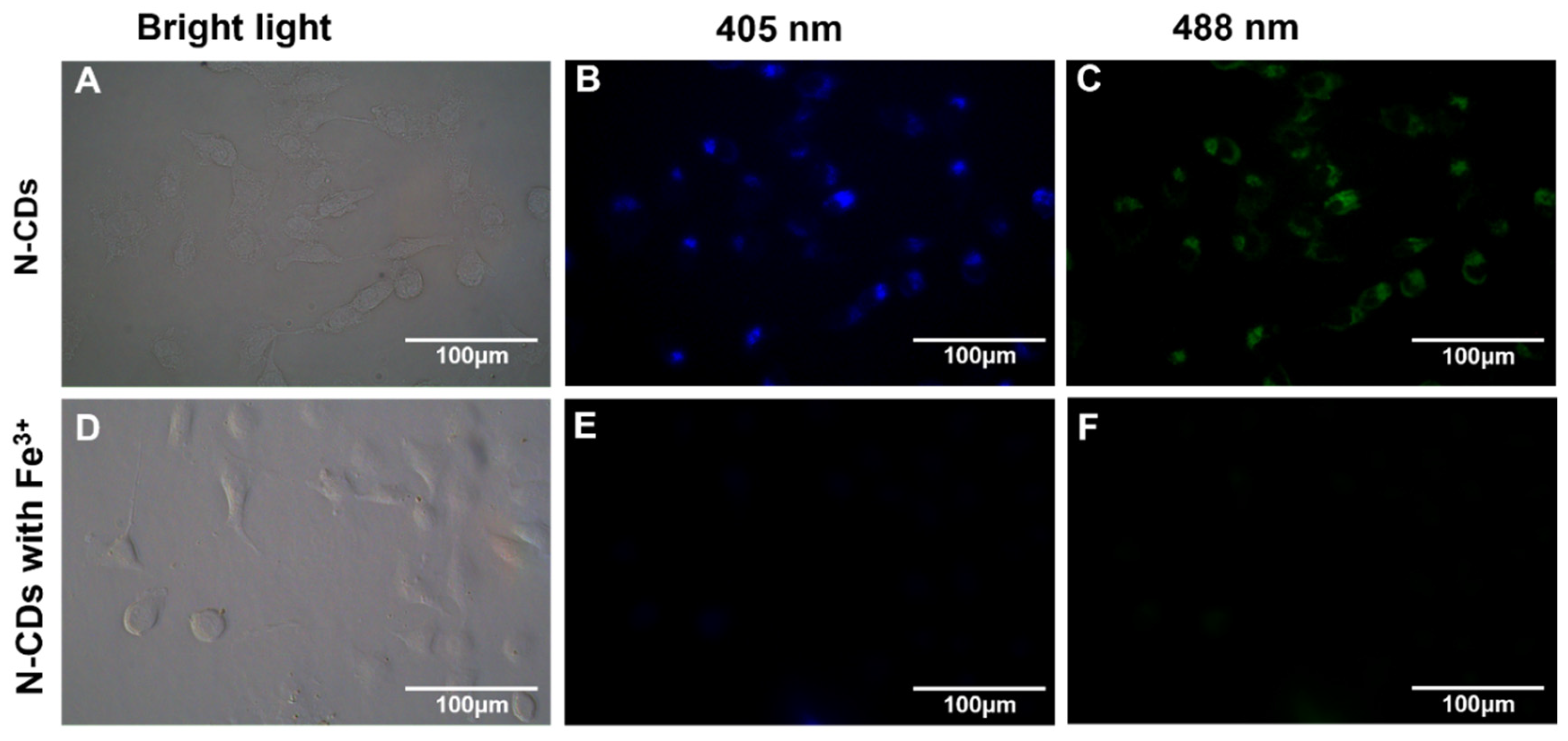 Nanomaterials 12 00986 g007