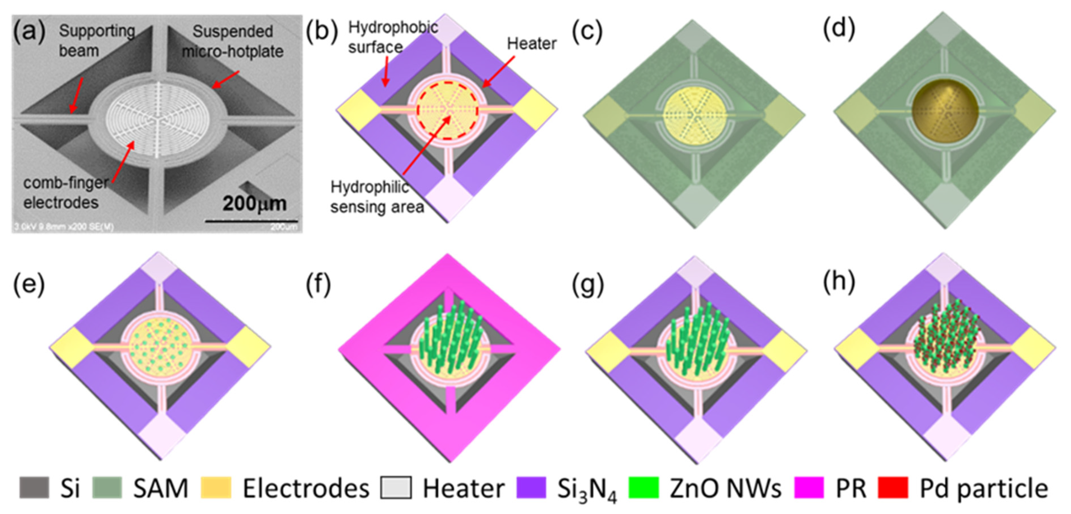 Nanomaterials 12 01001 g001