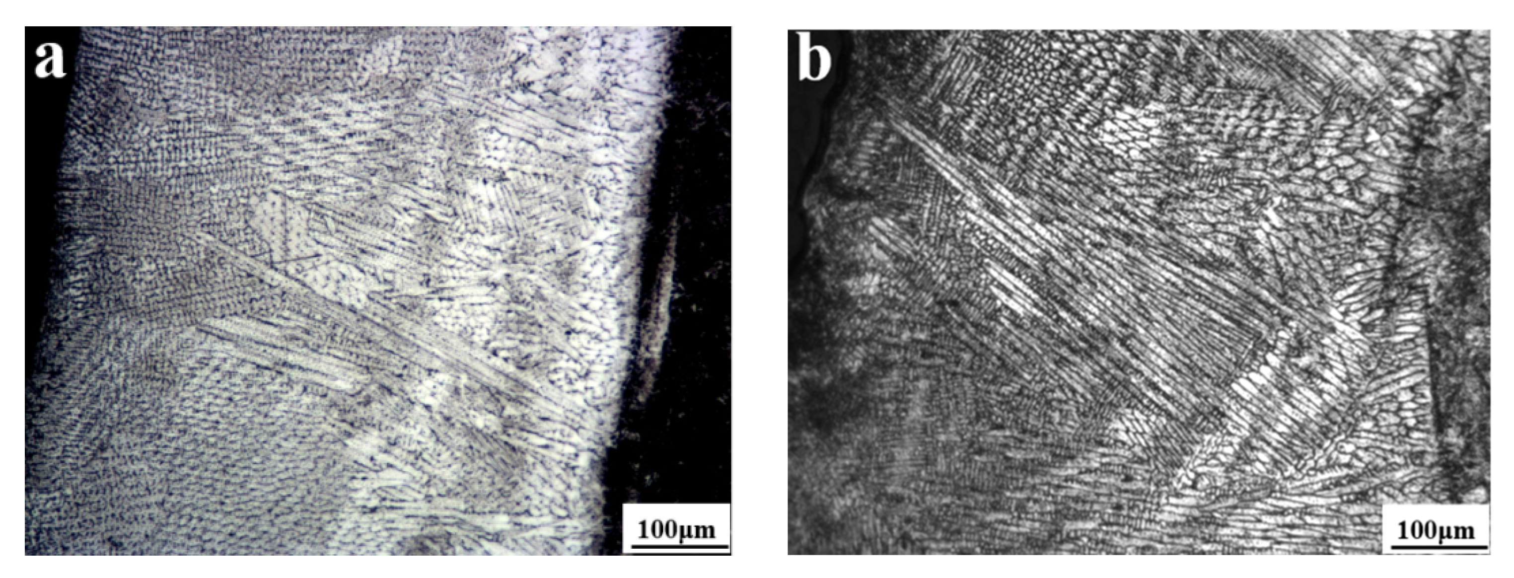 Nanomaterials 12 01013 g002a