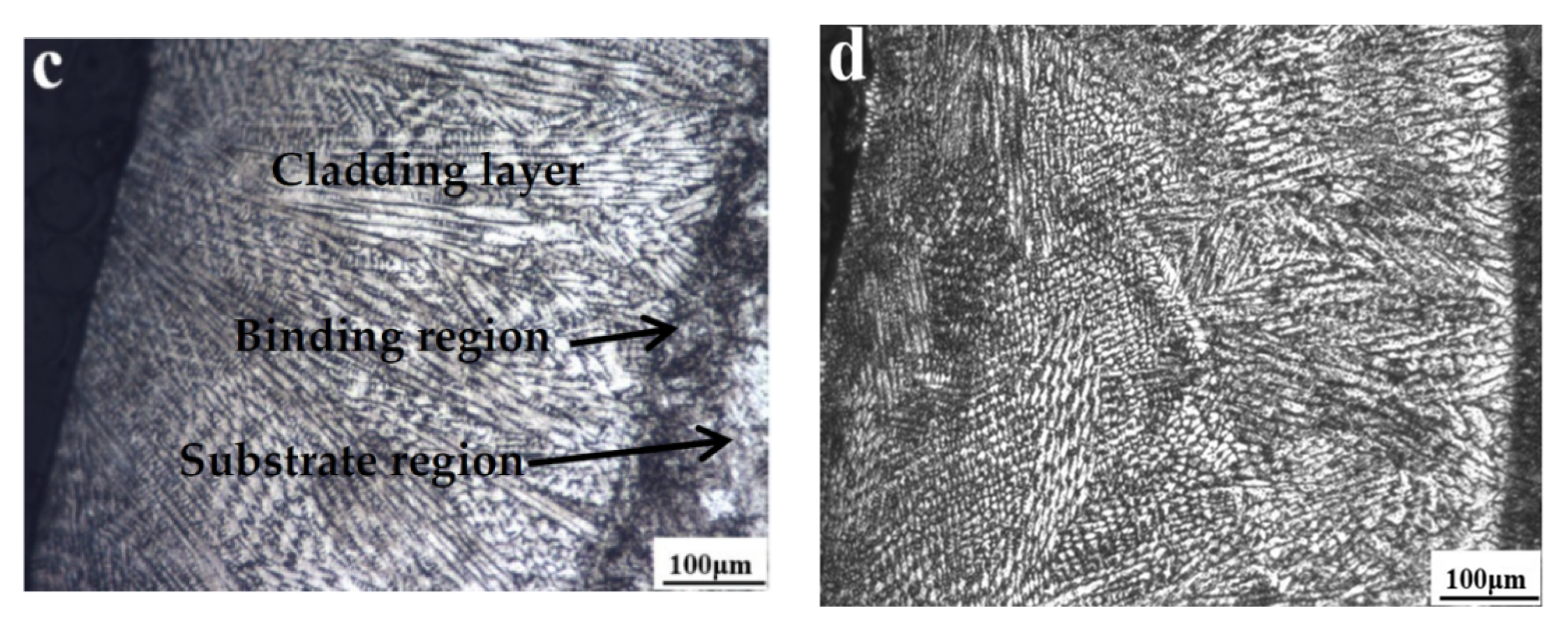 Nanomaterials 12 01013 g002b
