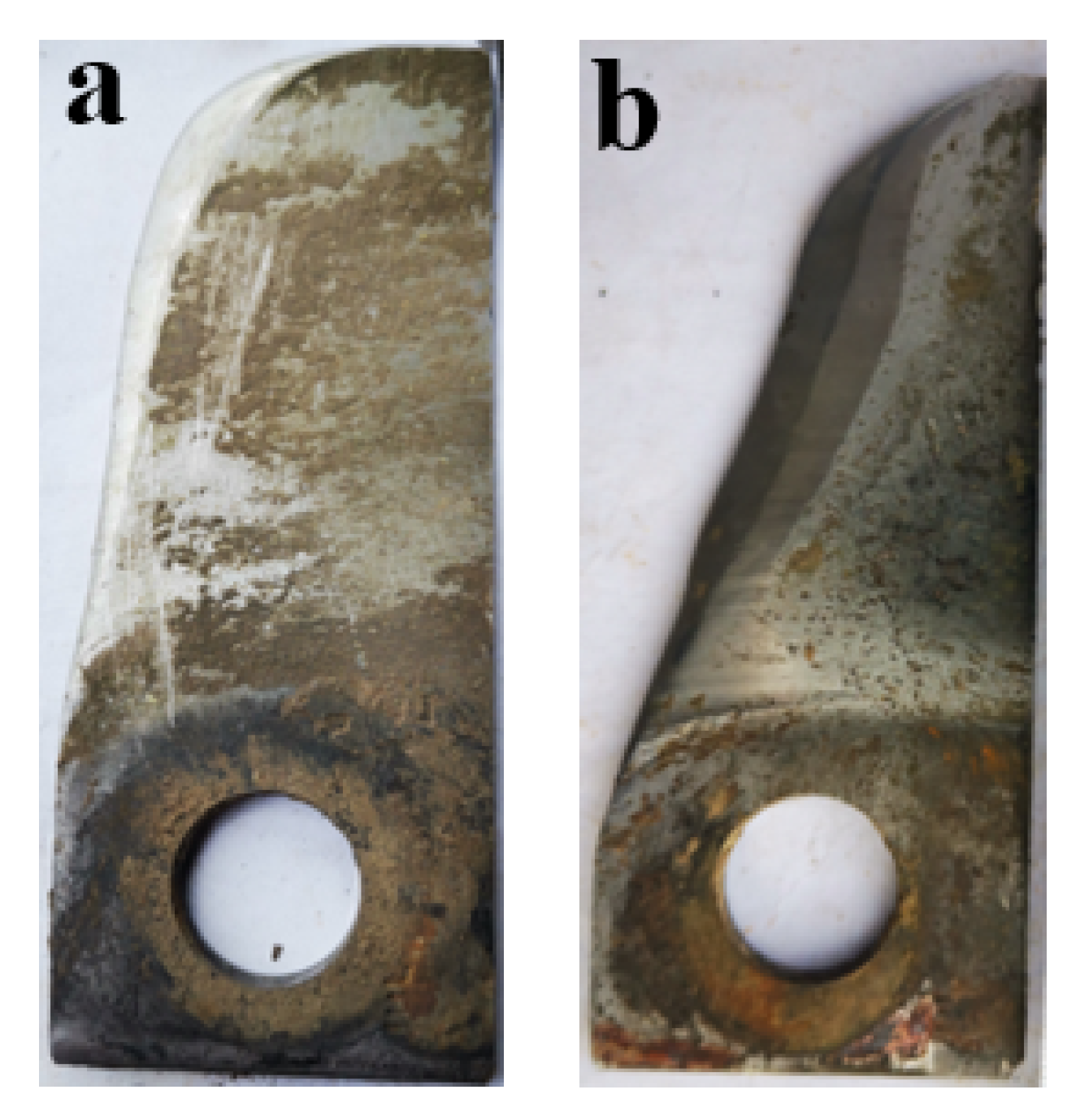 Nanomaterials 12 01013 g008