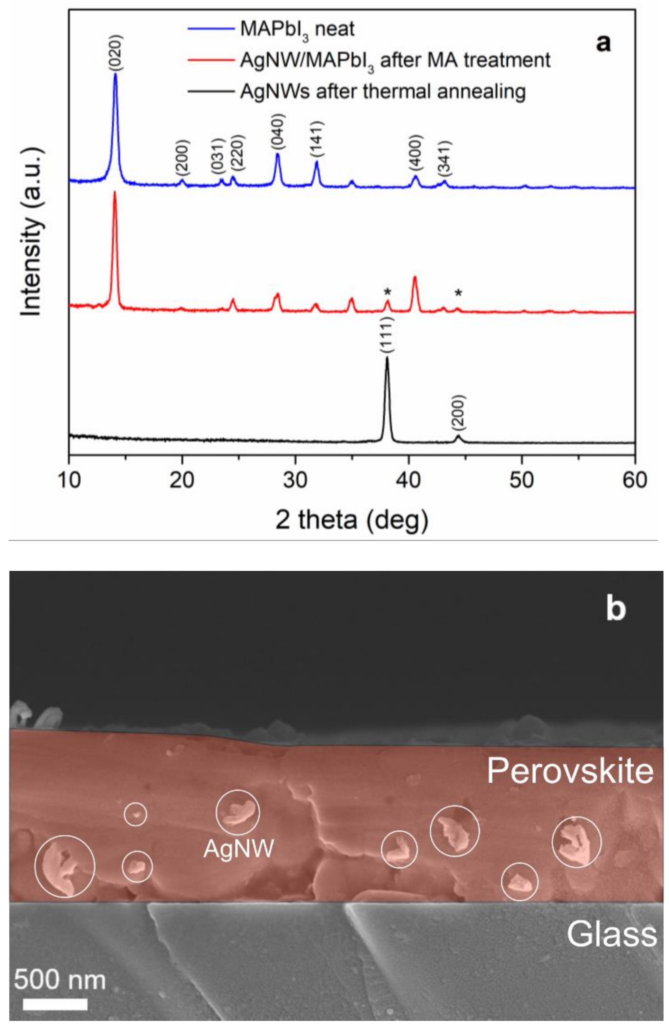 Nanomaterials 12 01034 g004