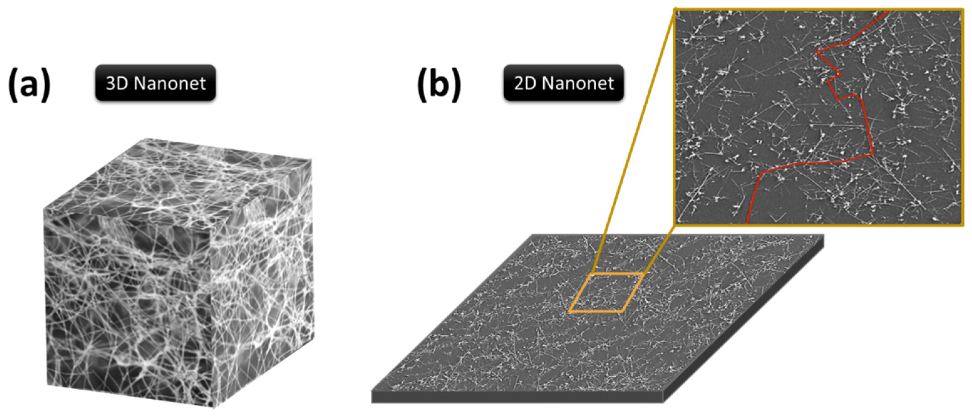Nanomaterials 12 01043 g003 Nanomaterials 12 01043 g003